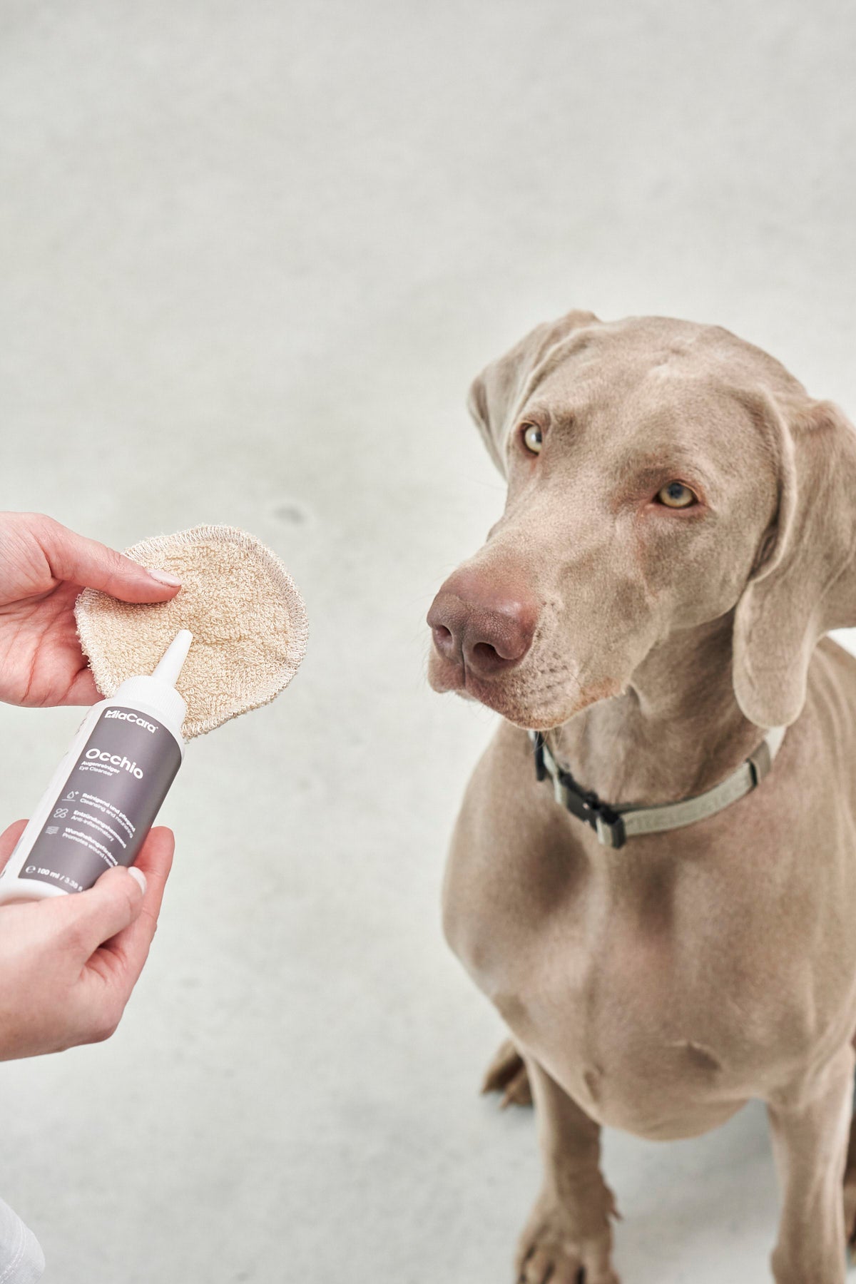 MiaCara Occhio Augenreiniger Augenpflege Hundepflegeprodukte