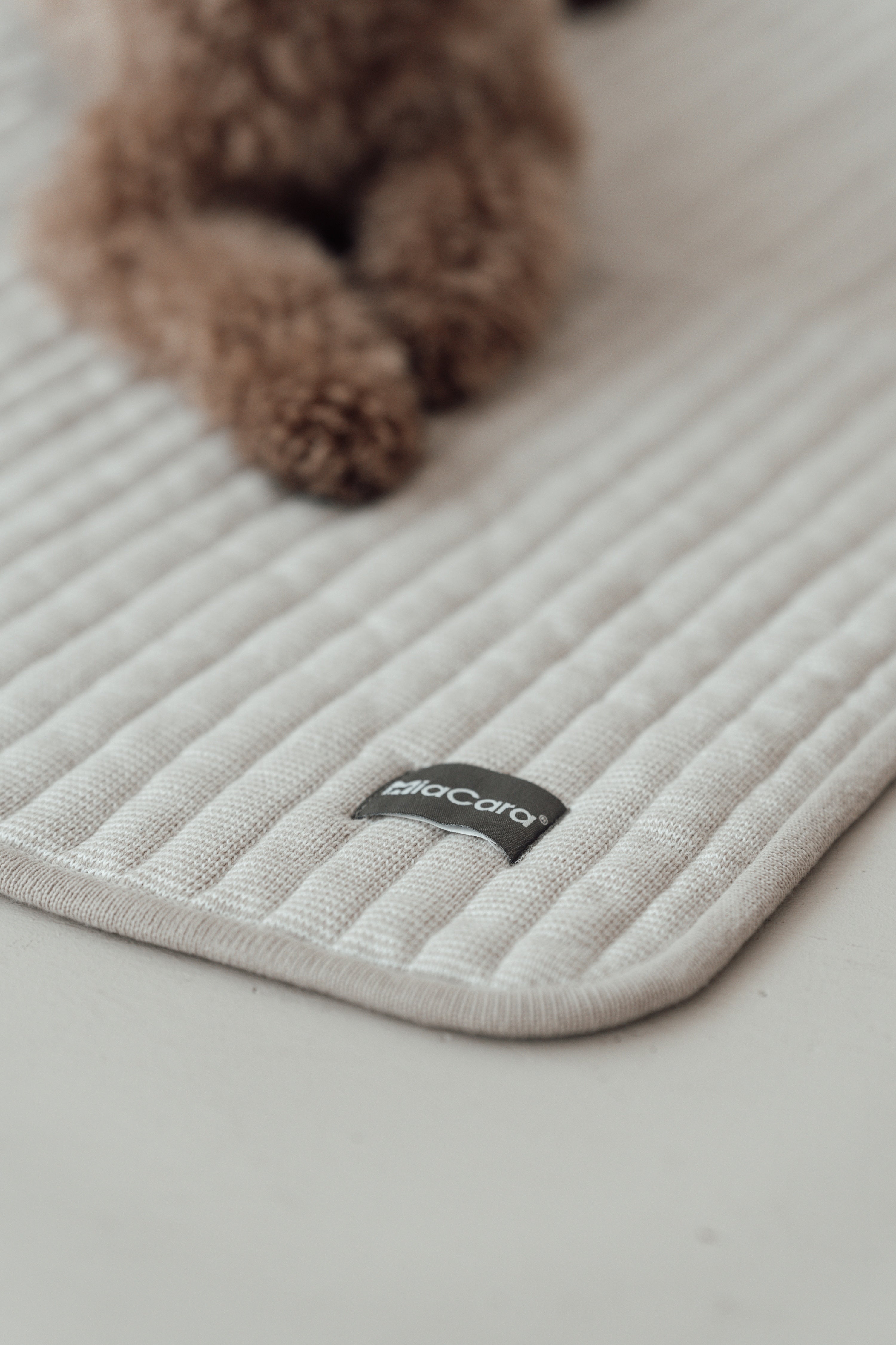 MiaCara Onda Strickdecke Greige
Hundedecke Beige Waschbar
