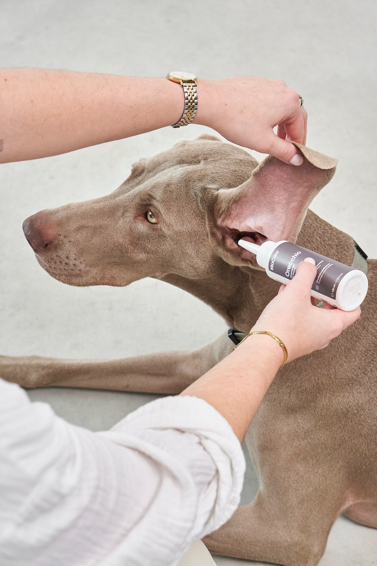 MiaCara Orecchio Ohrenreiniger Pflegeprodukte für Hunde