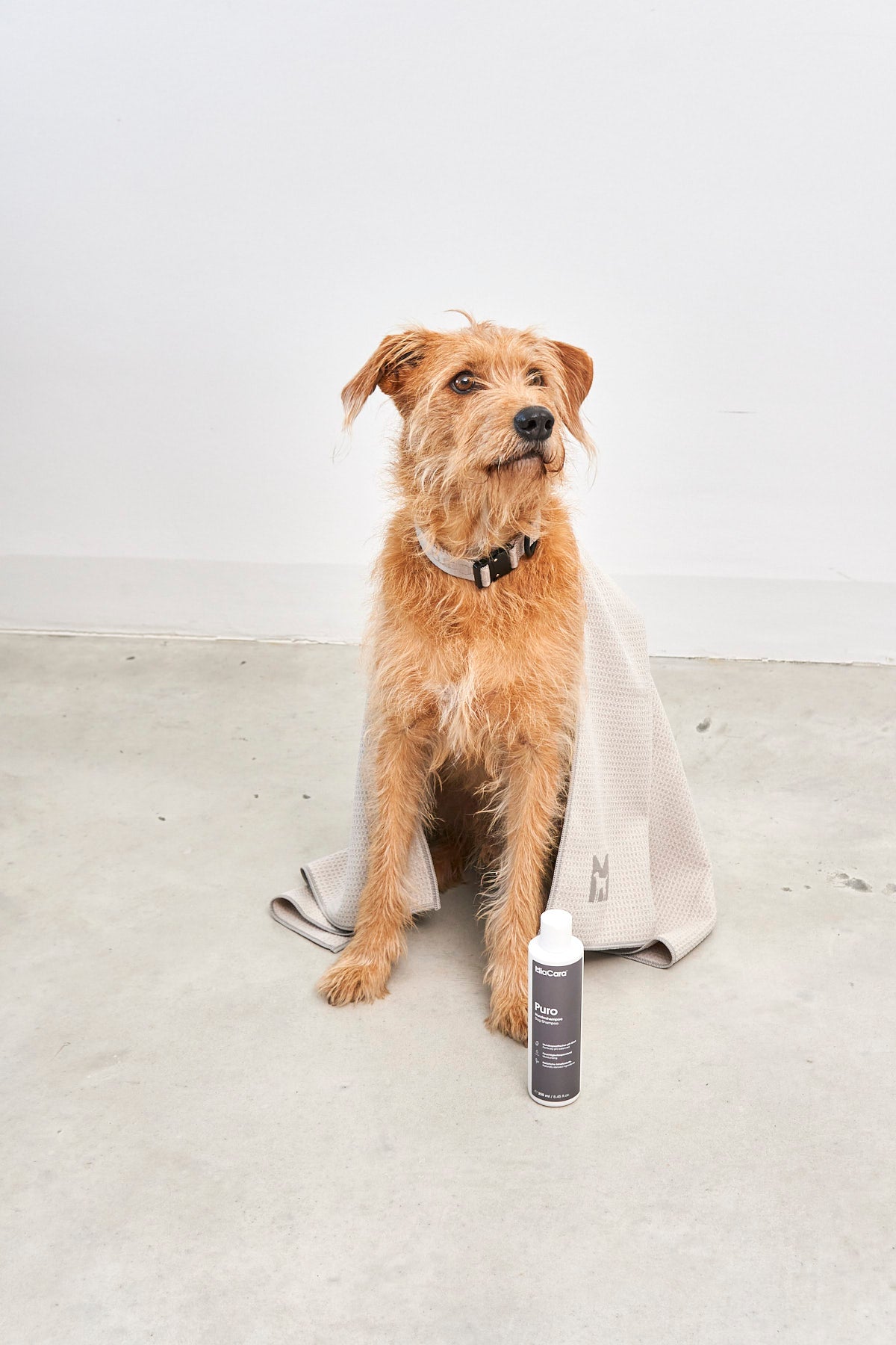 MiaCara Panno Hundetrockentuch Greige Hundeausstattung