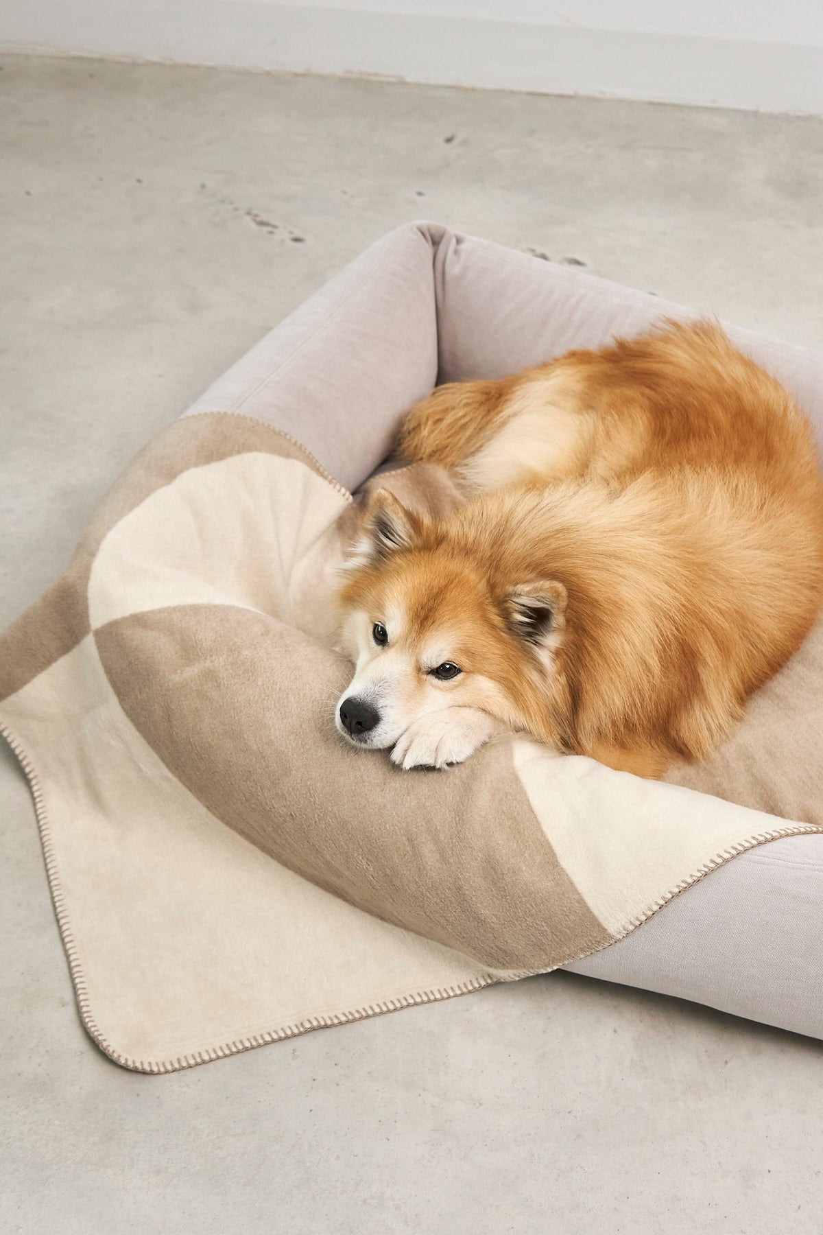 MiaCara Ponte Hundedecke Nougat Hundedecke Auto