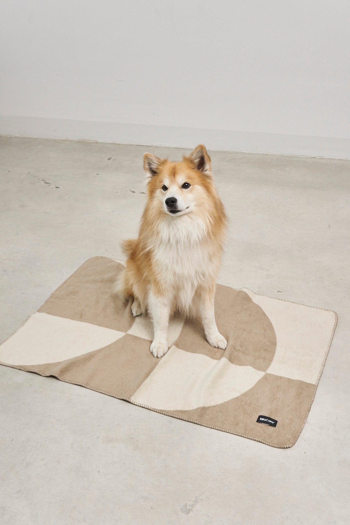 MiaCara Ponte Hundedecke Nougat Hundedecke Design