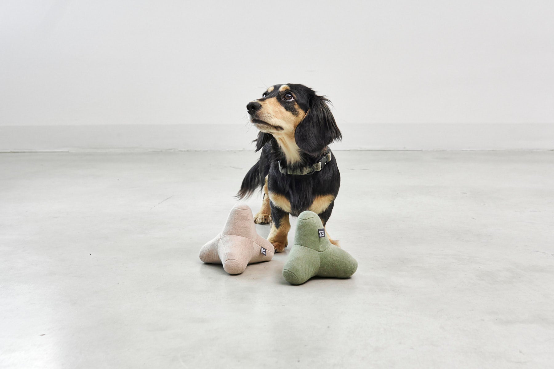 MiaCara Quattro Hundespielzeug Dusty Green Greige