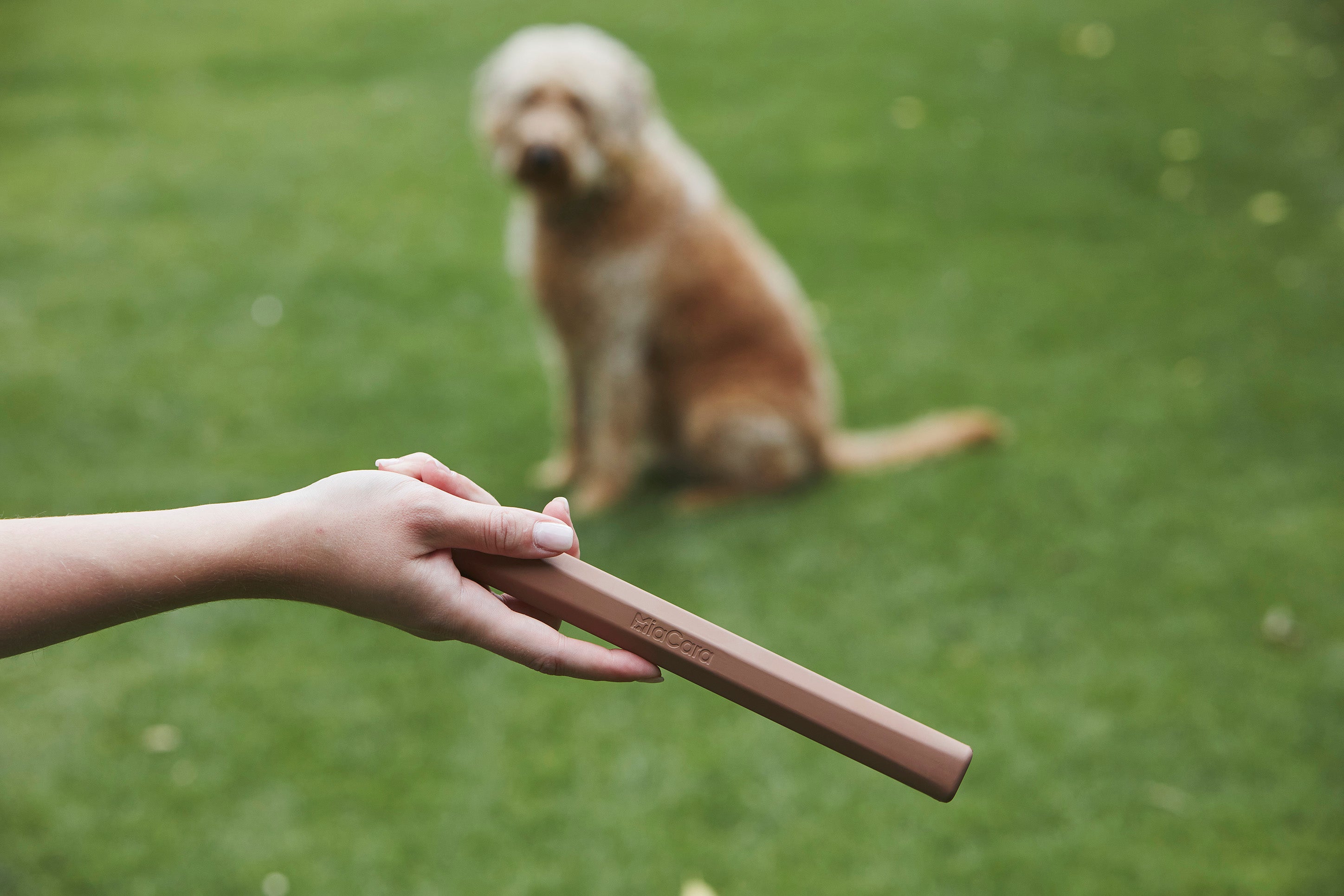 MiaCara Ramo Apportierspielzeug Sandelholz Apportieren mit Hund