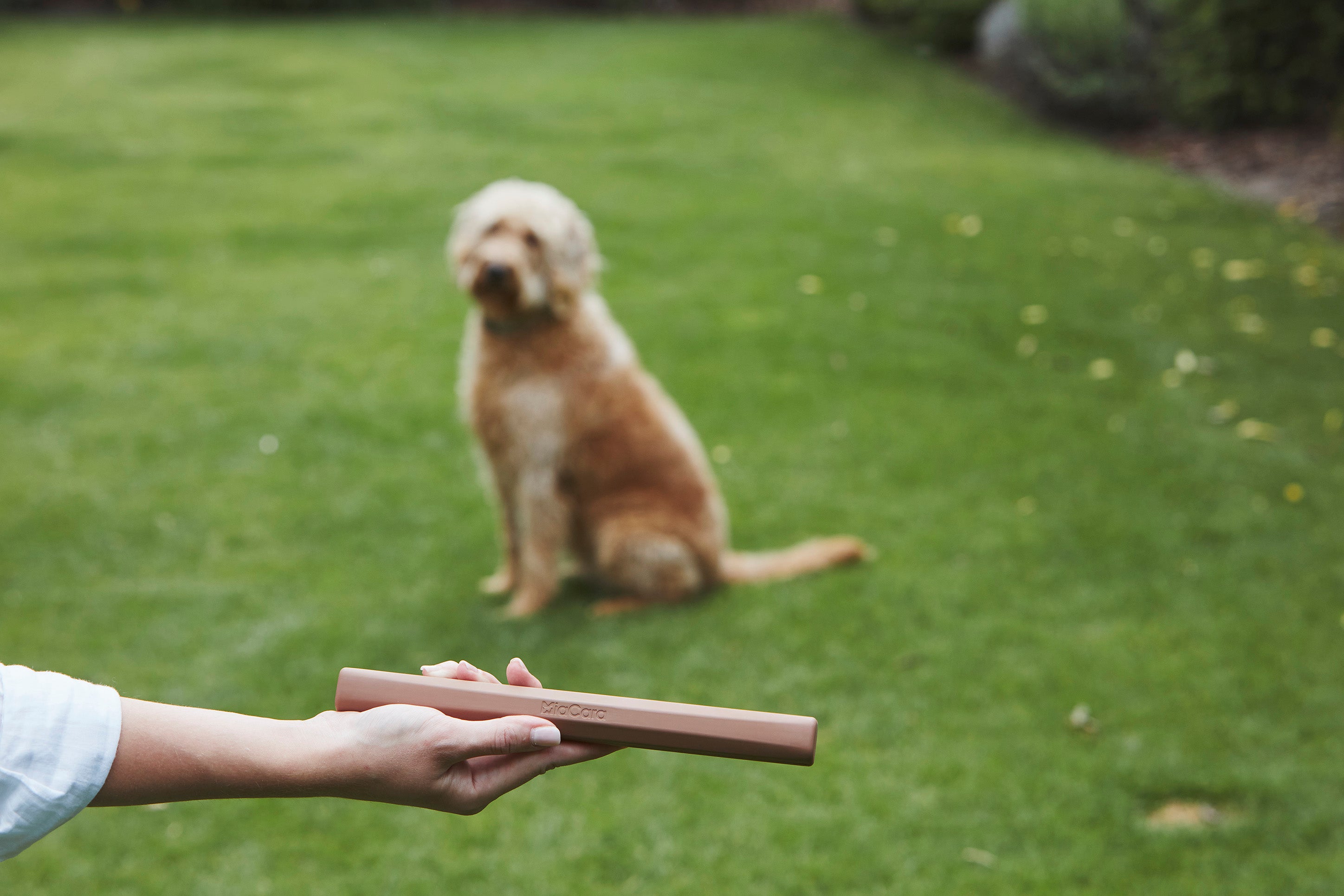 MiaCara Ramo Apportierspielzeug Sandelholz Spielzeug Hund