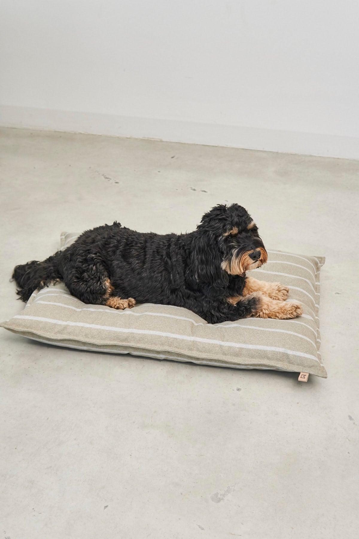 MiaCara Riga Hundekissen Slim Sand/Greige Hundebett Design