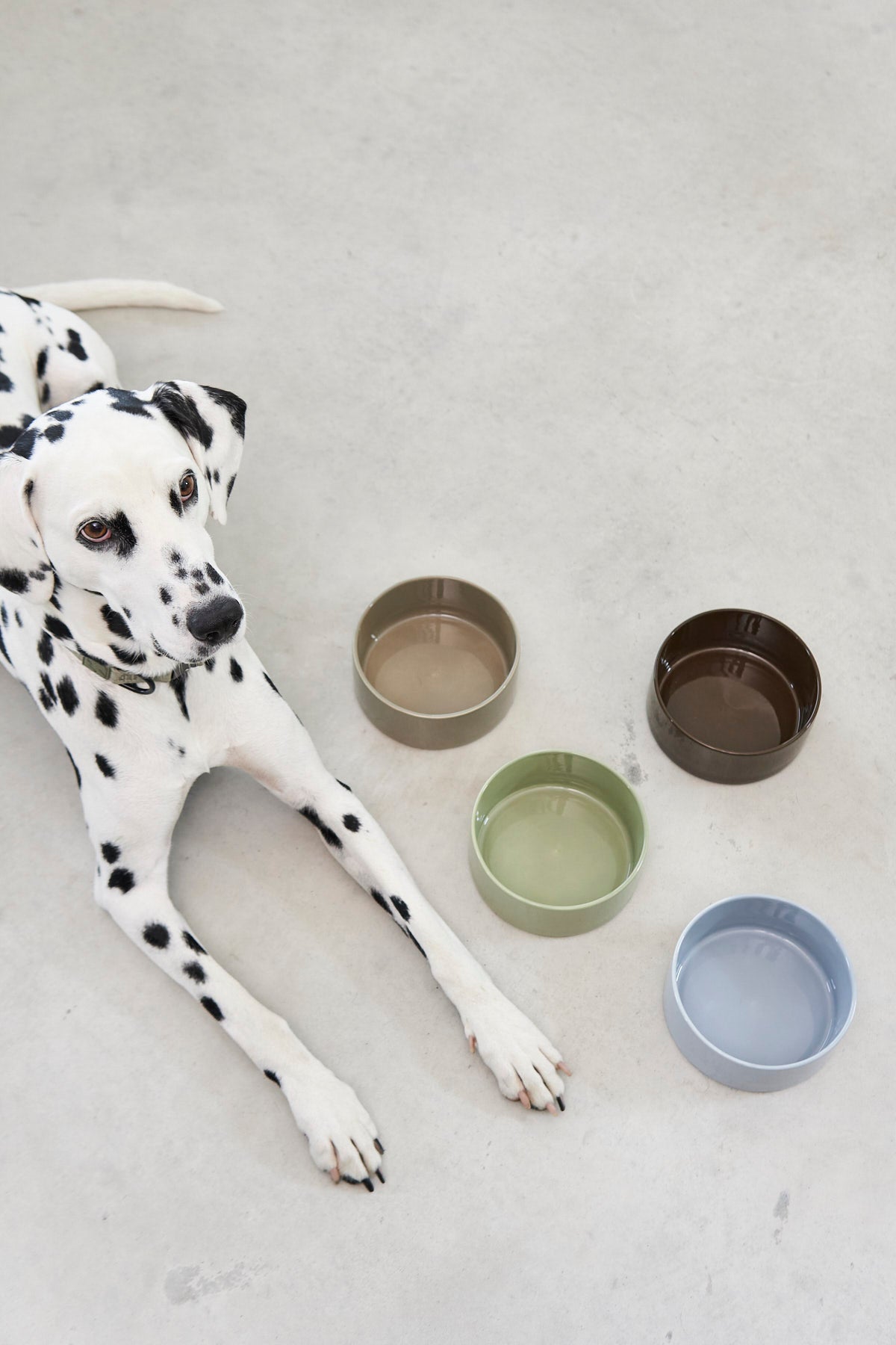 MiaCara Scodella Hundenapf Porzellan für Hunde