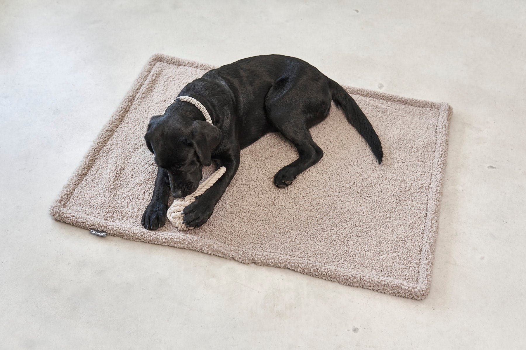 MiaCara Senso Hundedecke Greige Decke für Hunde Teddyplüsch