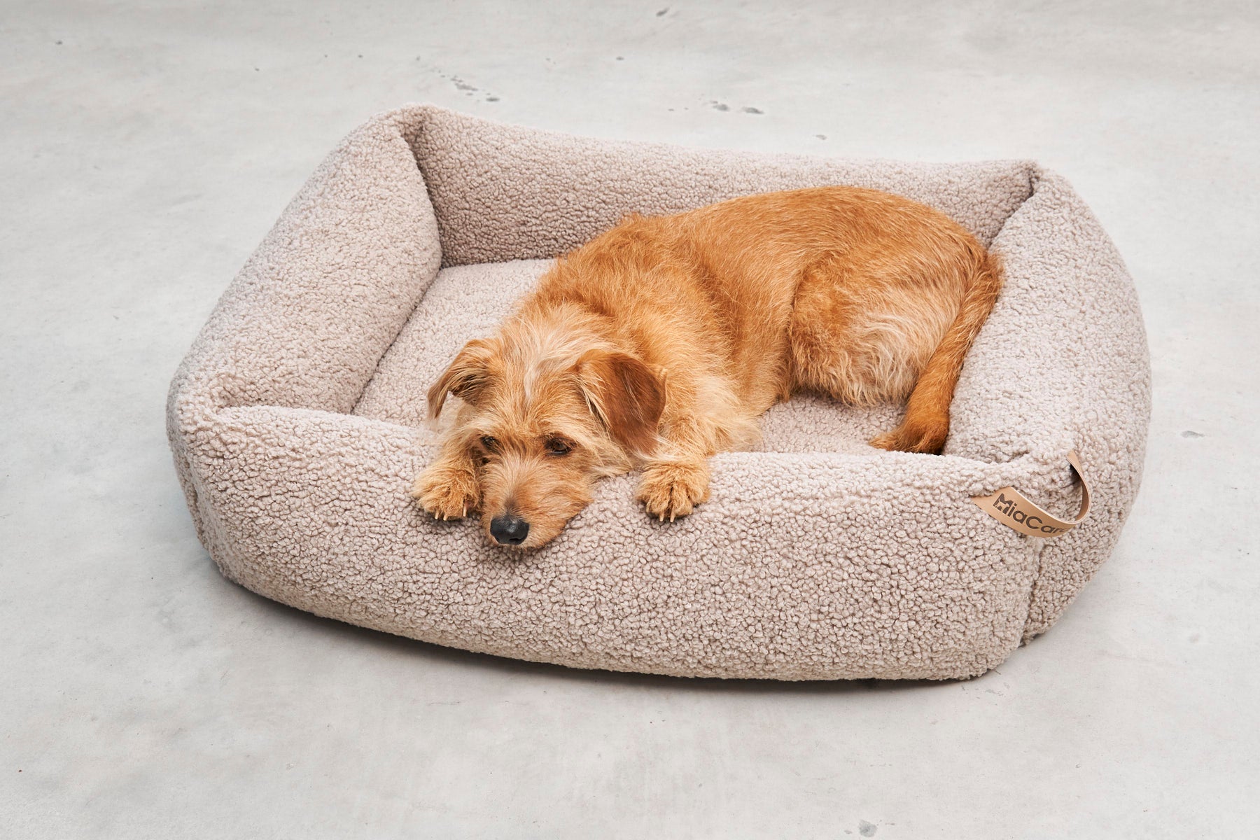 MiaCara Senso Box-Bett Greige Teddy Hundebett mit Rand