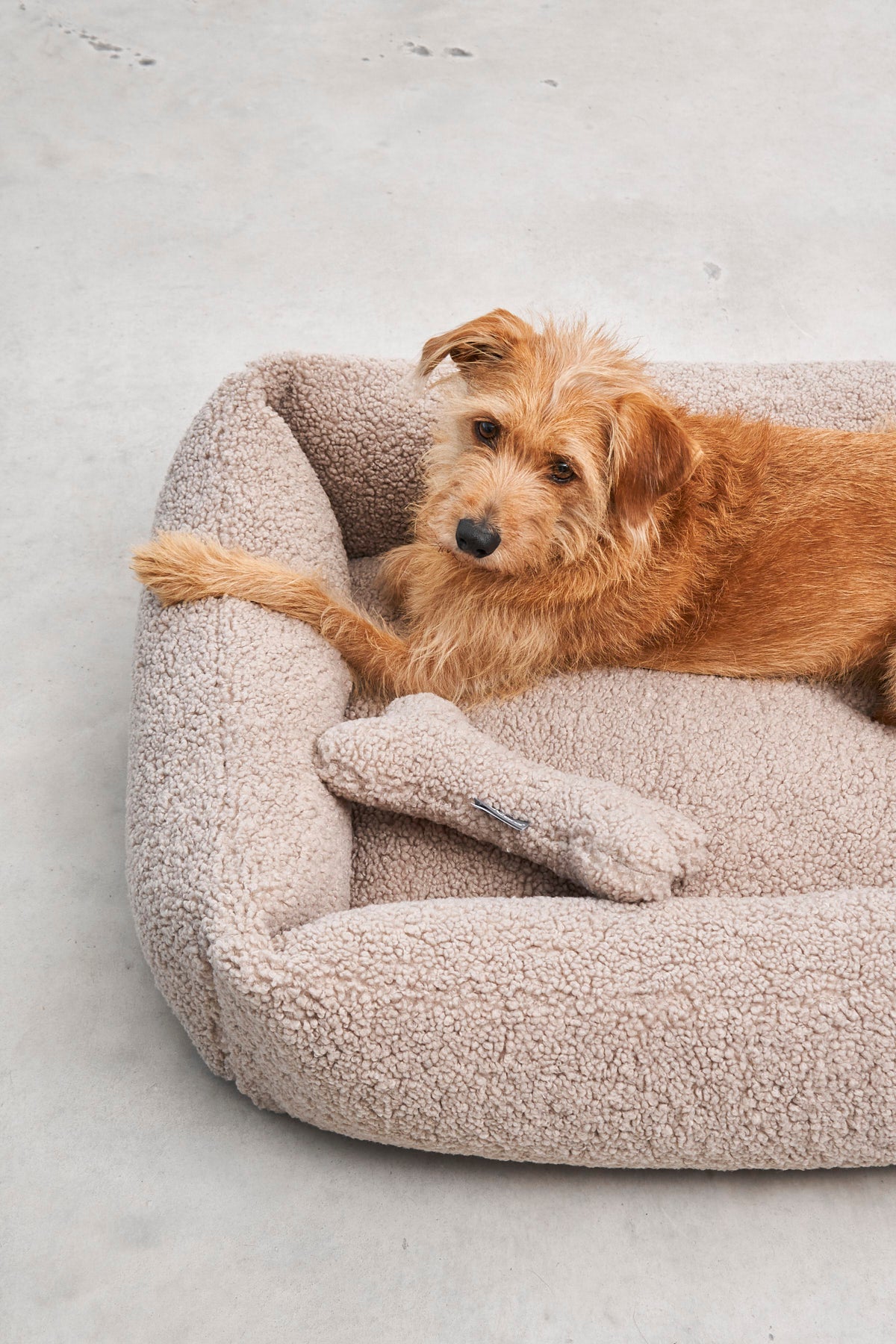 MiaCara Senso Box-Bett Greige Teddy Hundebett