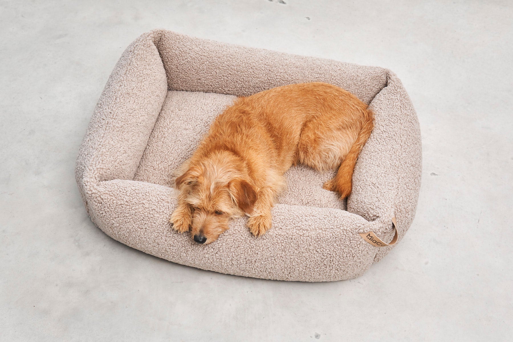 MiaCara Senso Box-Bett Greige beiges Teddy Hundebett