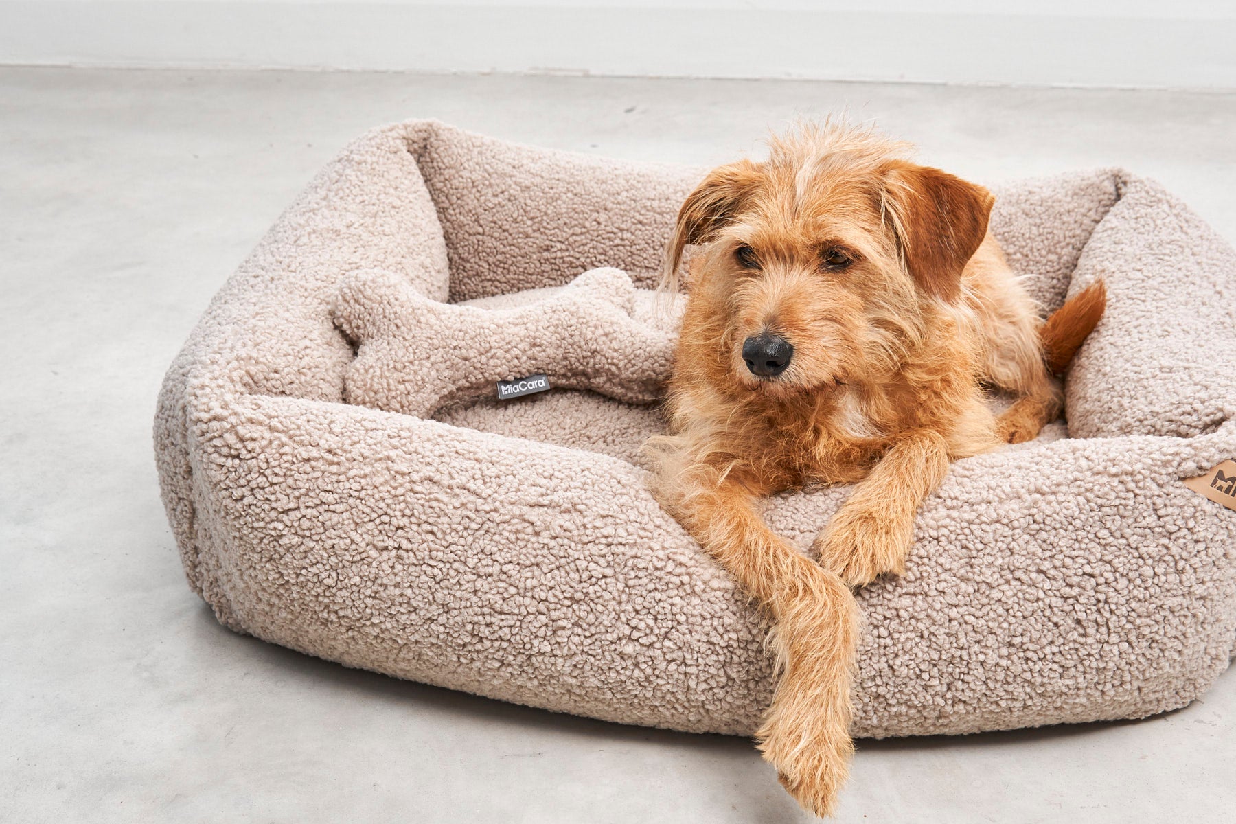 MiaCara Senso Box-Bett Greige orthopaedisches Boucle Hundebett