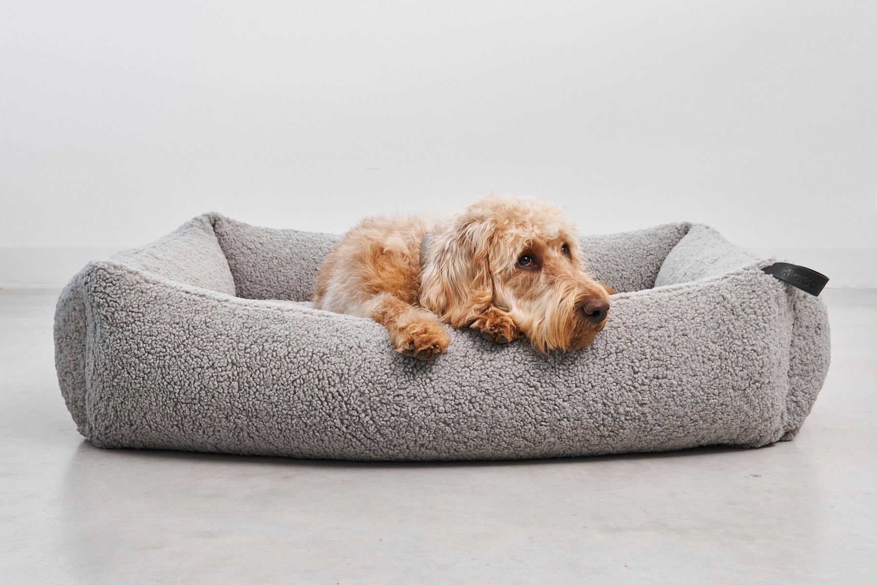 MiaCara Senso Box-Bett Kiesel Boucle Hundebett waschbar