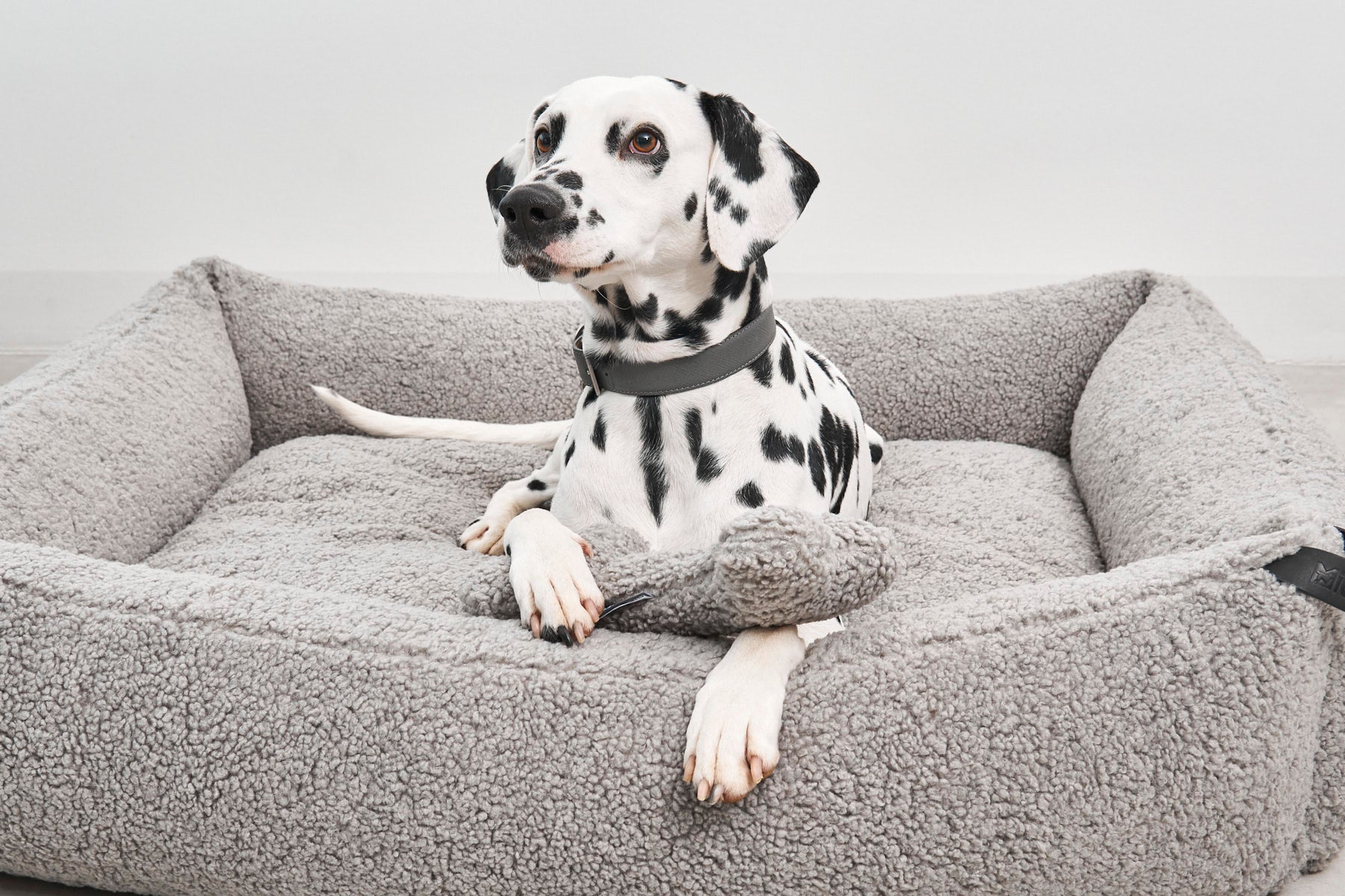 MiaCara Senso Box-Bett Kiesel Sherpa Hundebett fuer Hunde