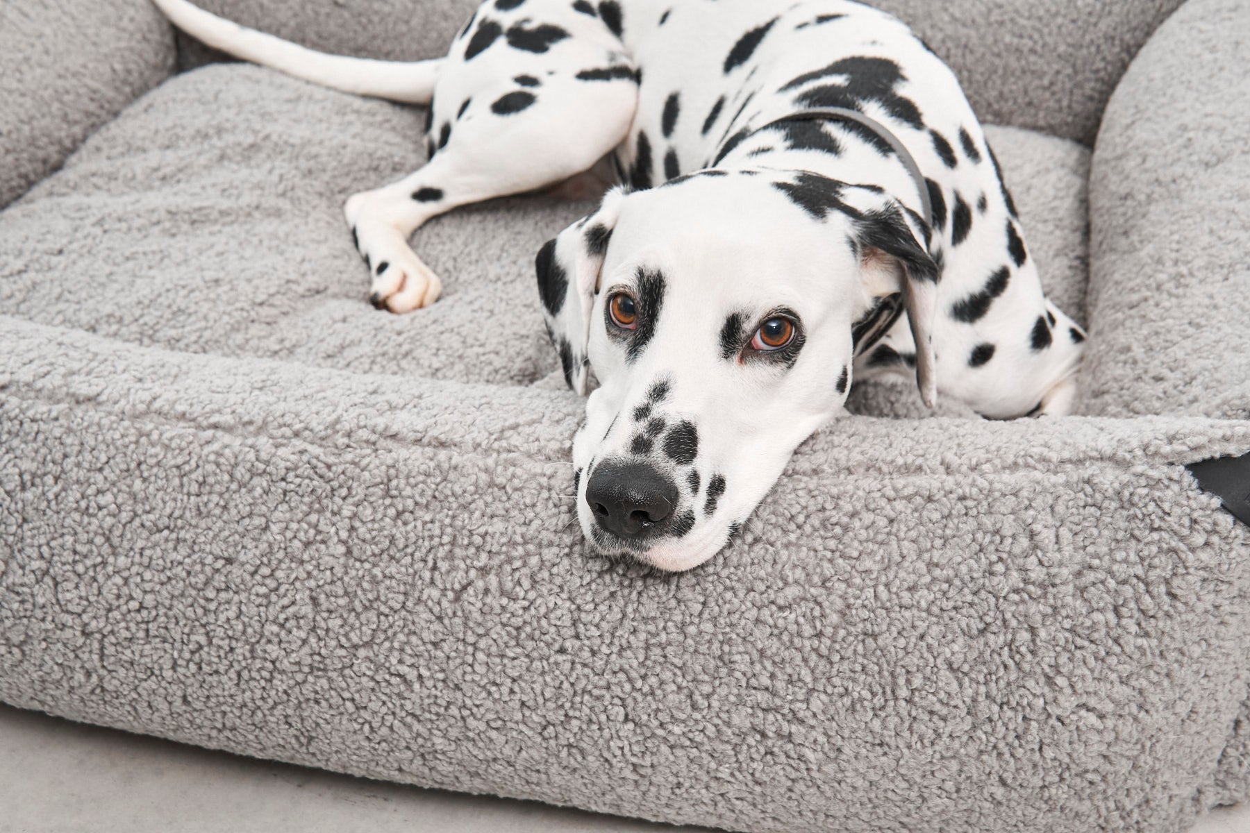 MiaCara Senso Box-Bett Kiesel flauschiges Sherpa Hundebett