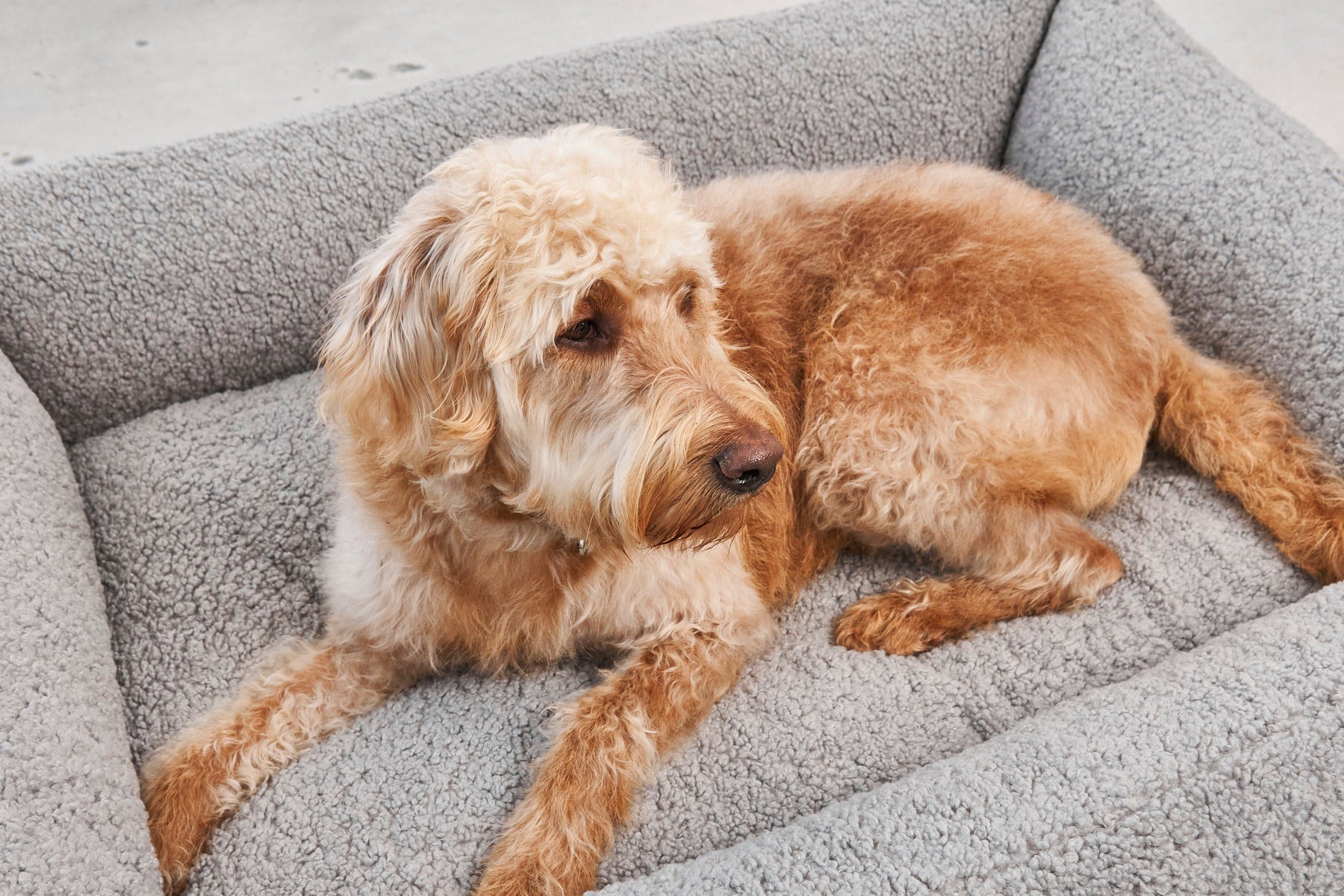 MiaCara Senso Box-Bett Kiesel waschbares Hundebett