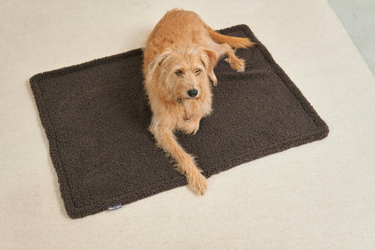 MiaCara Senso Hundedecke Schokolade Hundedecke Auto