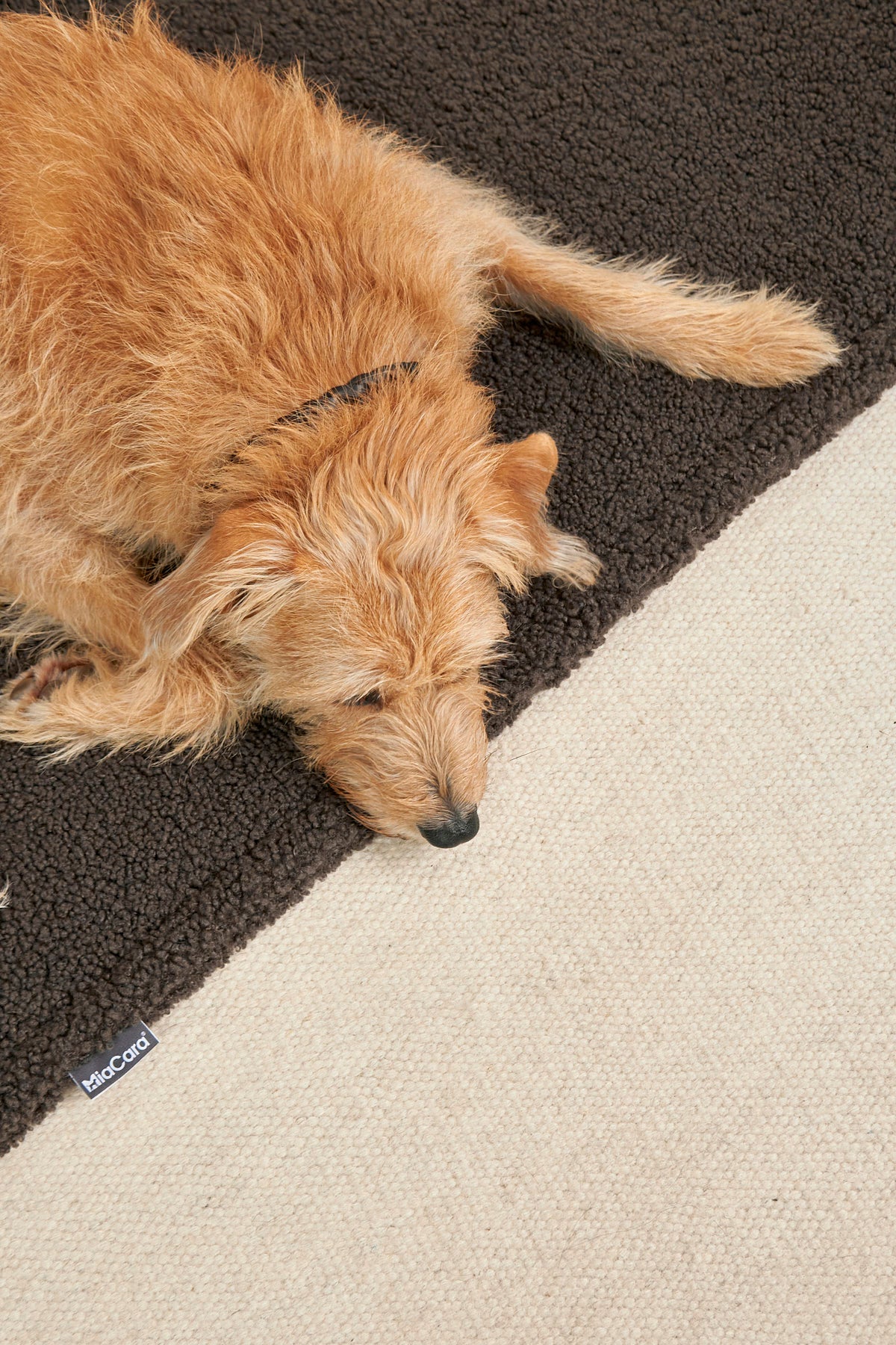MiaCara Senso Hundedecke Schokolade Hundedecke Bouclé