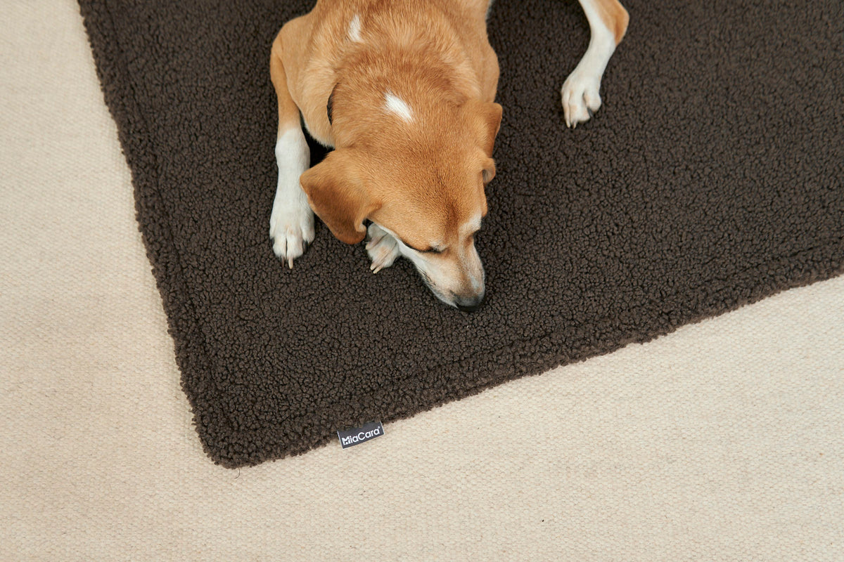 MiaCara Senso Hundedecke Schokolade Hundedecke Design