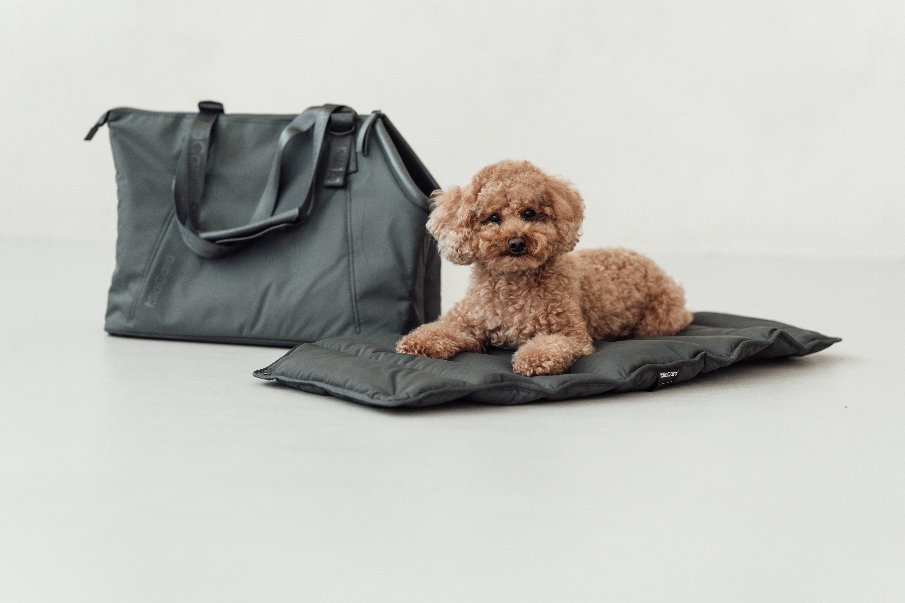 MiaCara Sporta Hundetragetasche Asphalt Tasche für Hunde zum Umhängen