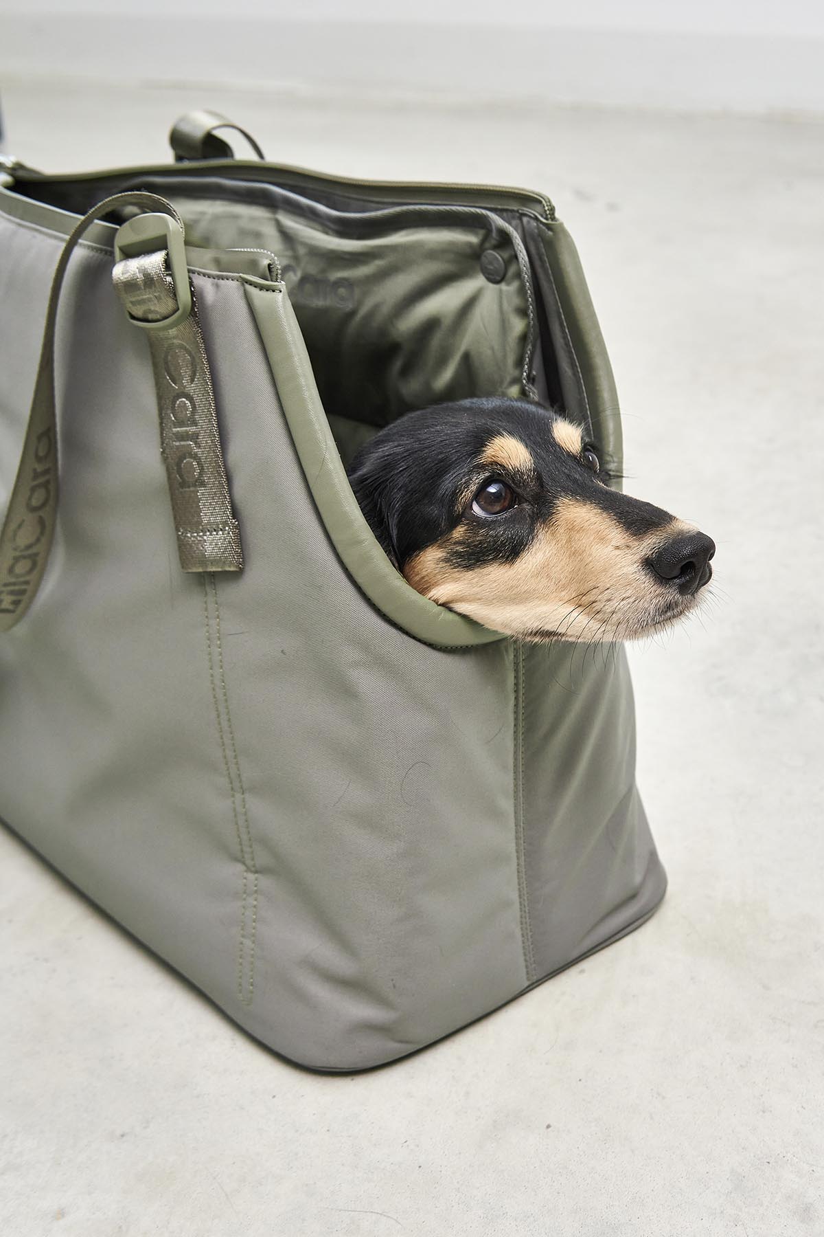 MiaCara Sporta Hundetragetasche Grolive Hundereisetasche