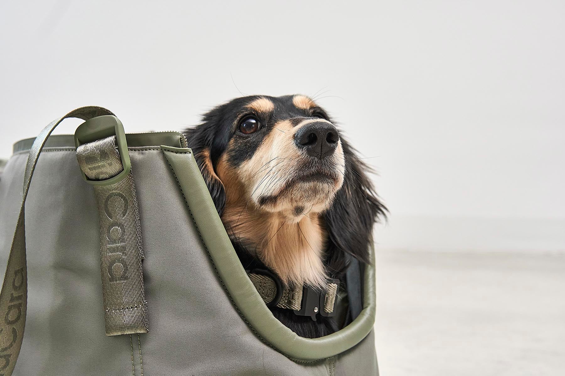 MiaCara Sporta Hundetragetasche Grolive Hundetasche