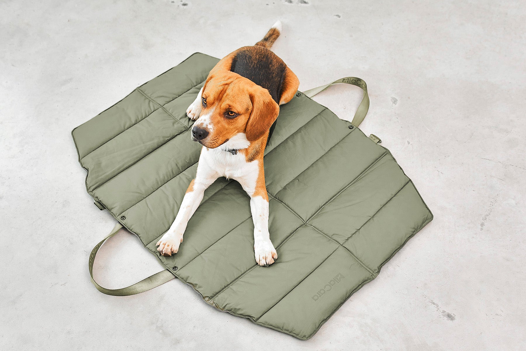 MiaCara Strada travelBed Grolive Hundebett unterwegs