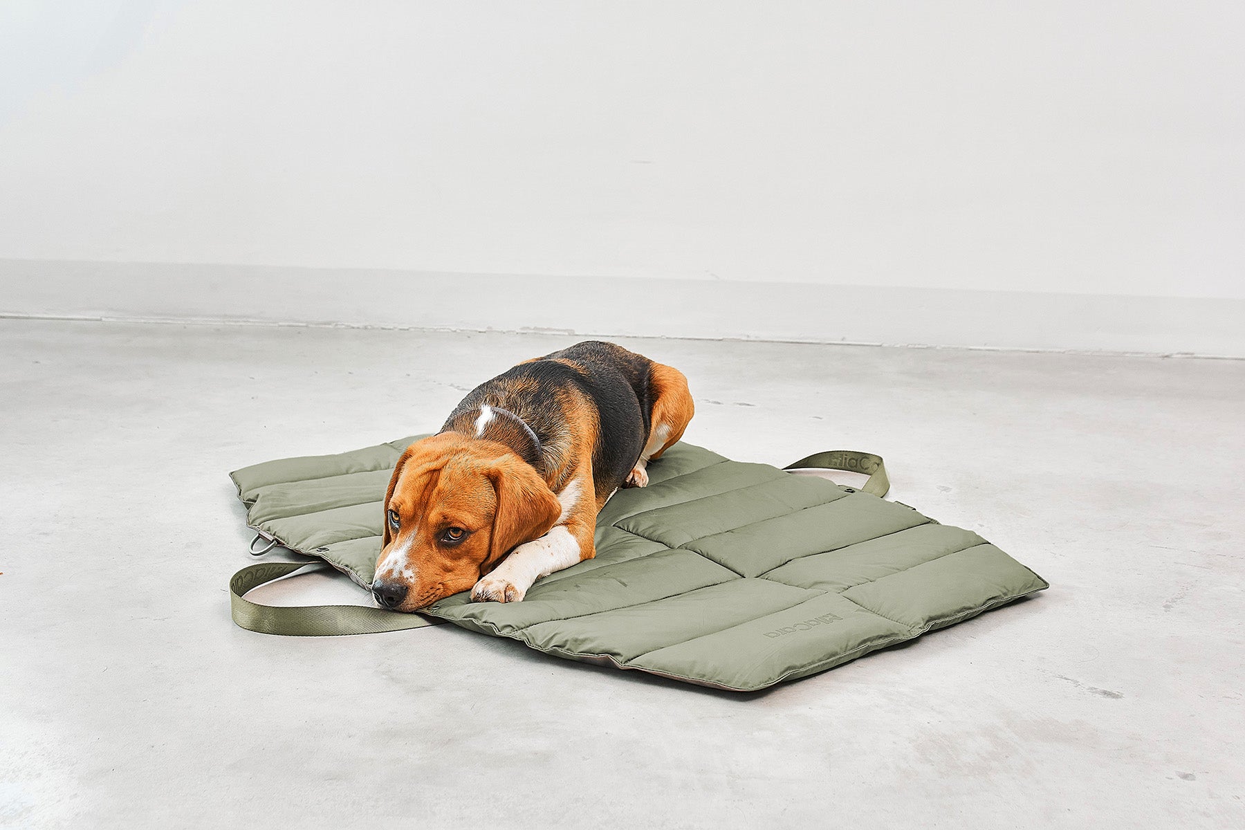 MiaCara Strada travelBed Grolive Hundereisebett faltbar