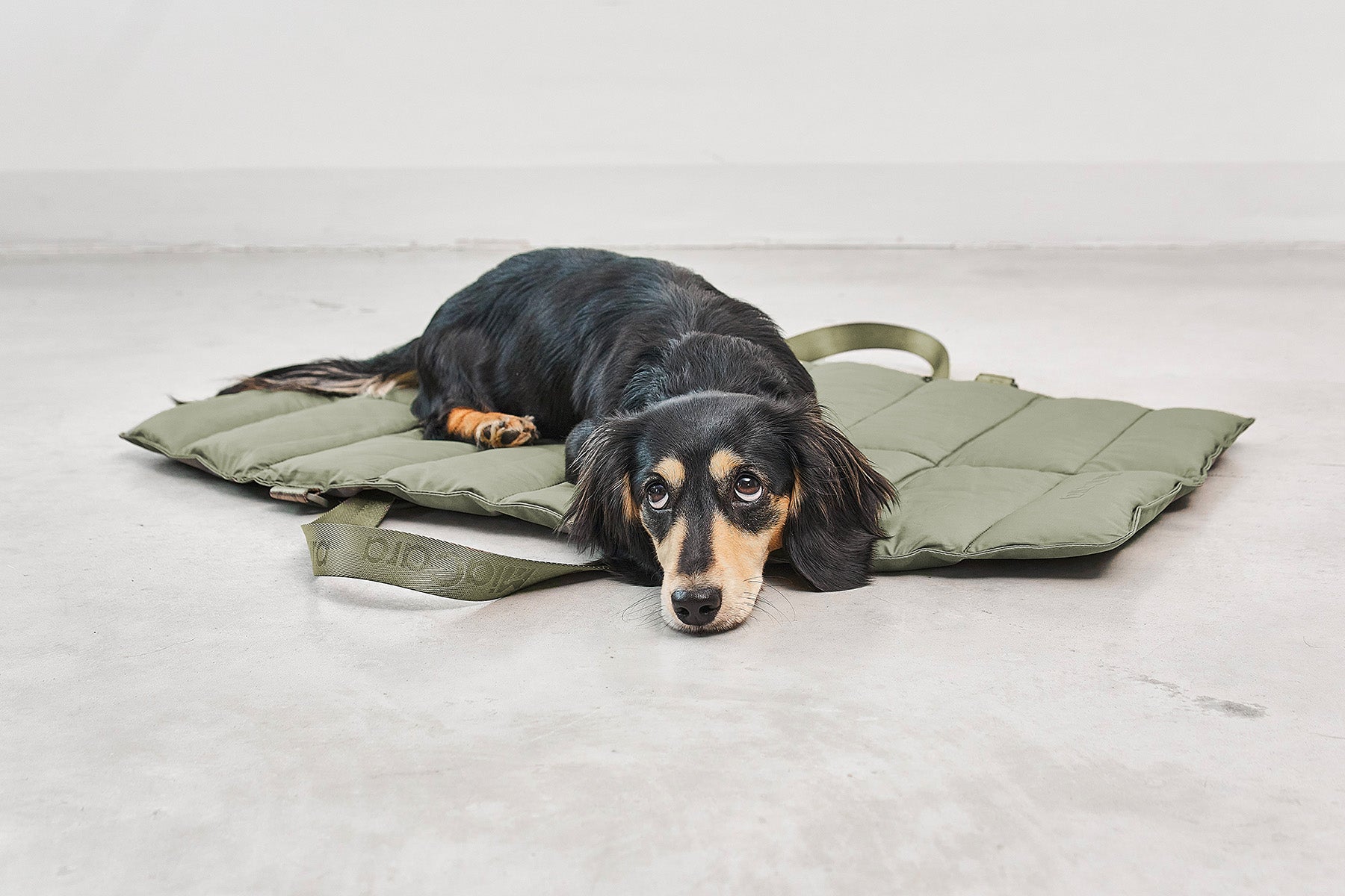 MiaCara Strada travelBed Grolive Hundereisebett