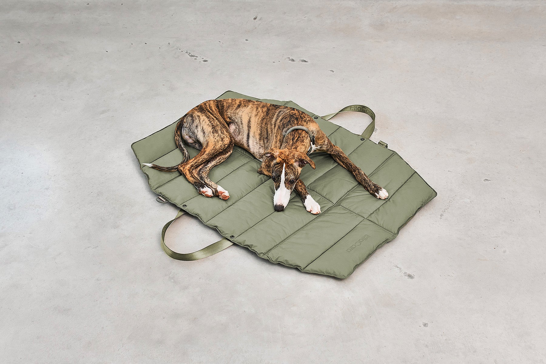 MiaCara Strada travelBed Grolive Hundereisedecke waschbar