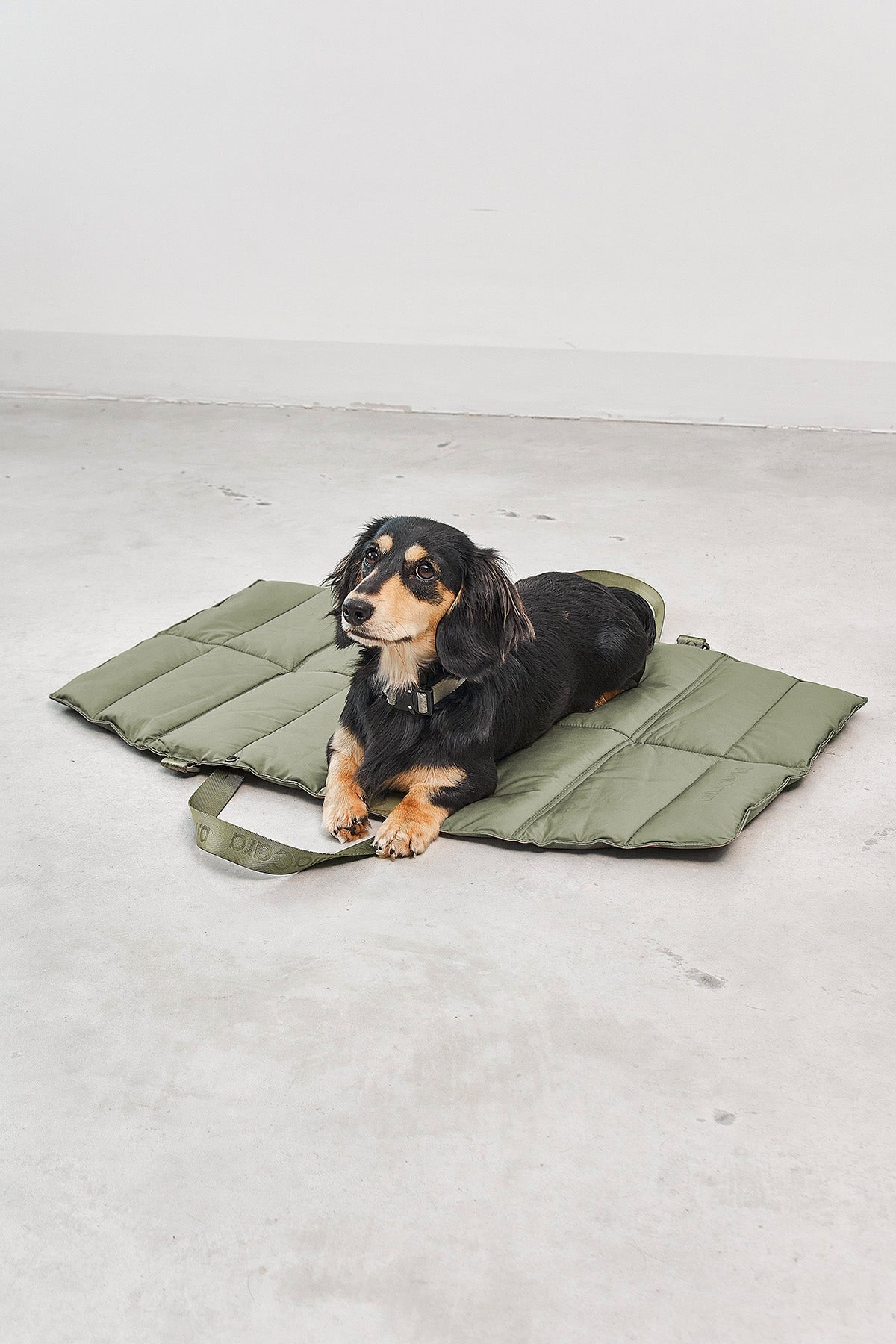MiaCara Strada travelBed Grolive Urlaub mit Hund