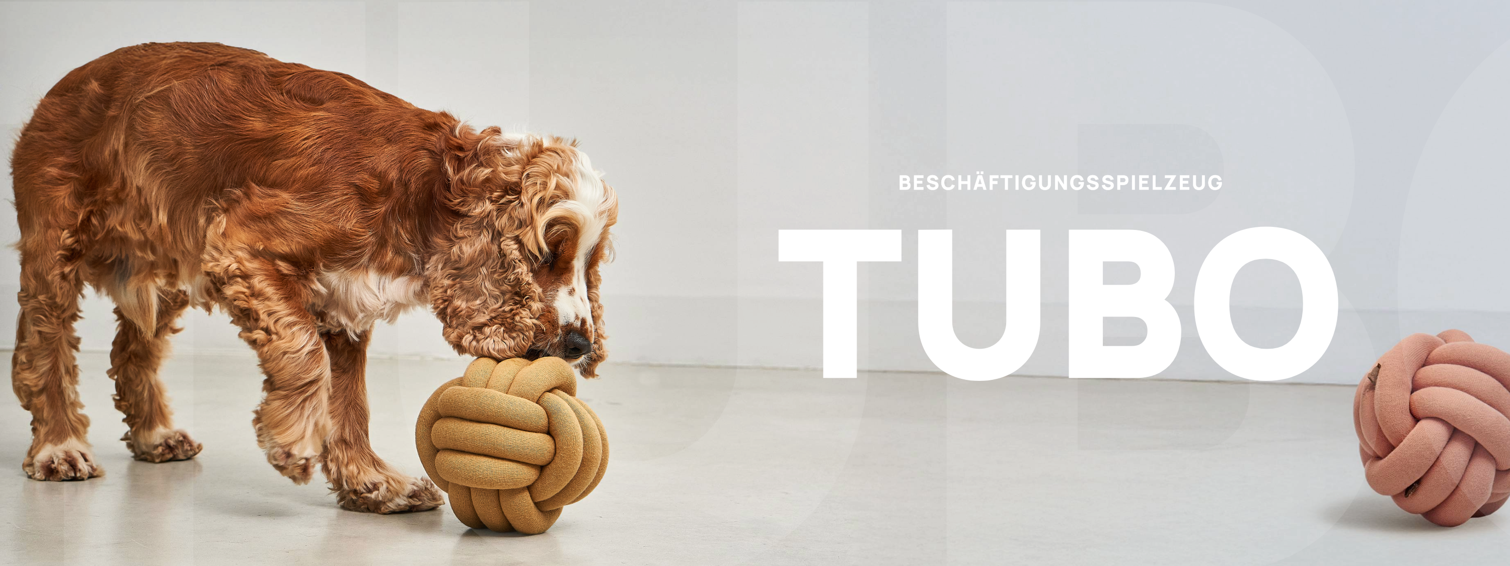 MiaCara Tubo Beschäftigungsspielzeug Snackball für Hunde Spielzeug für Hunde zur Beschäftigung Hundeespielzeug