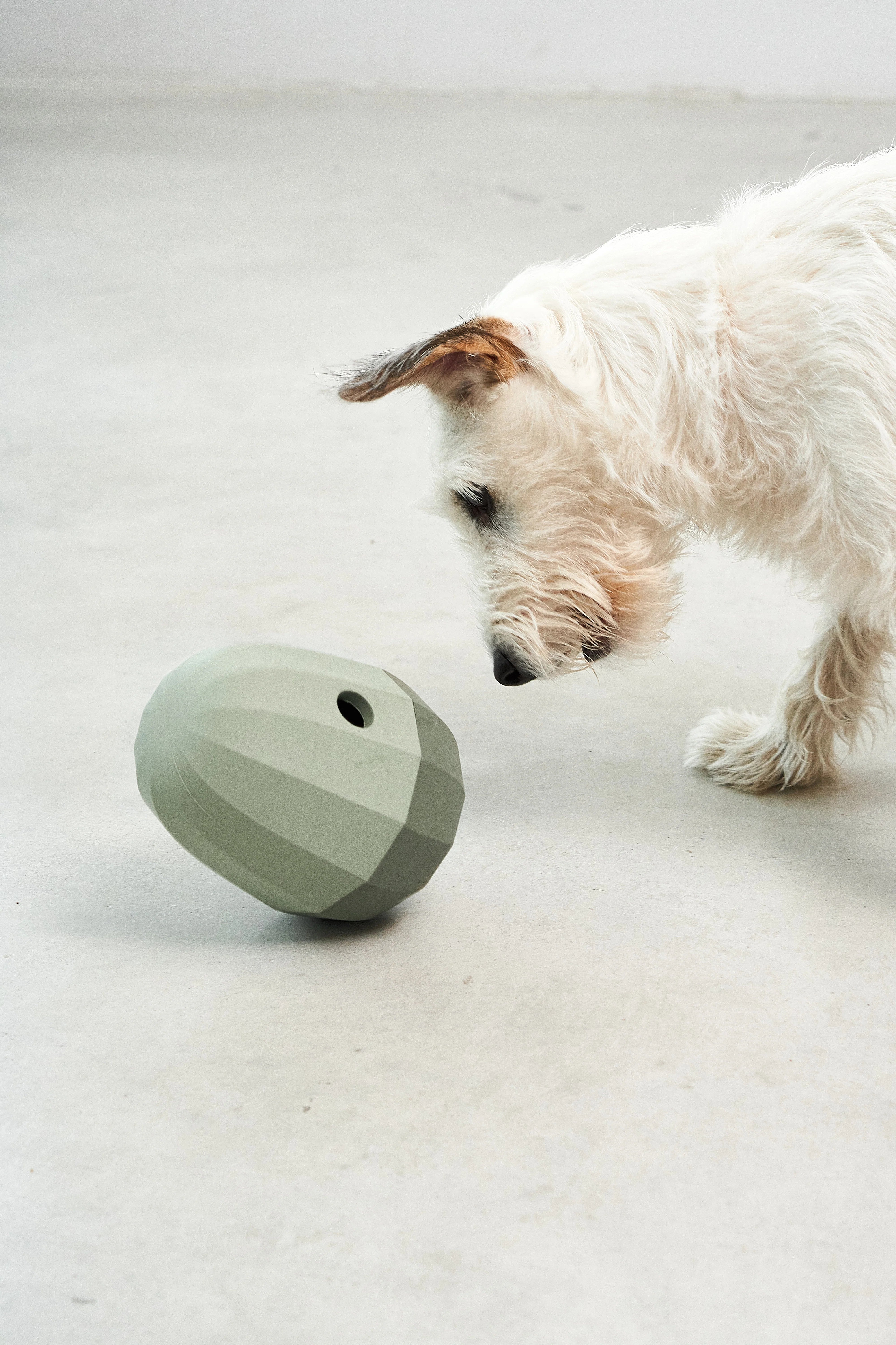 Uovo Beschäftigungsspielzeug Grolive Beschäftigung Hund Alleinebleiben