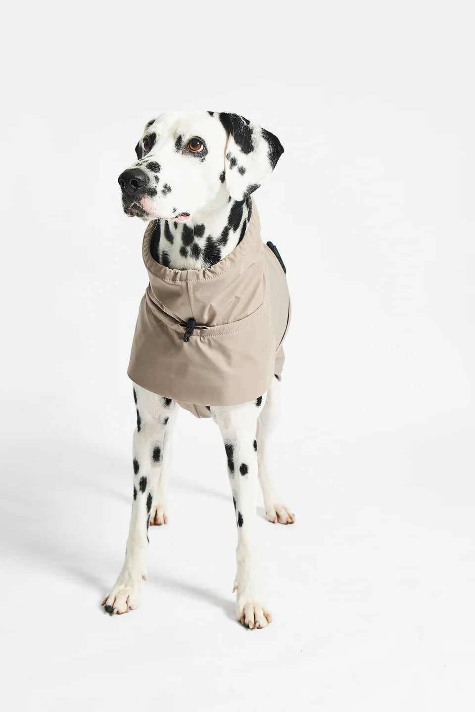 MiaCara Valentina Regenmantel Sand wasserabweisender Hundemantel in beige