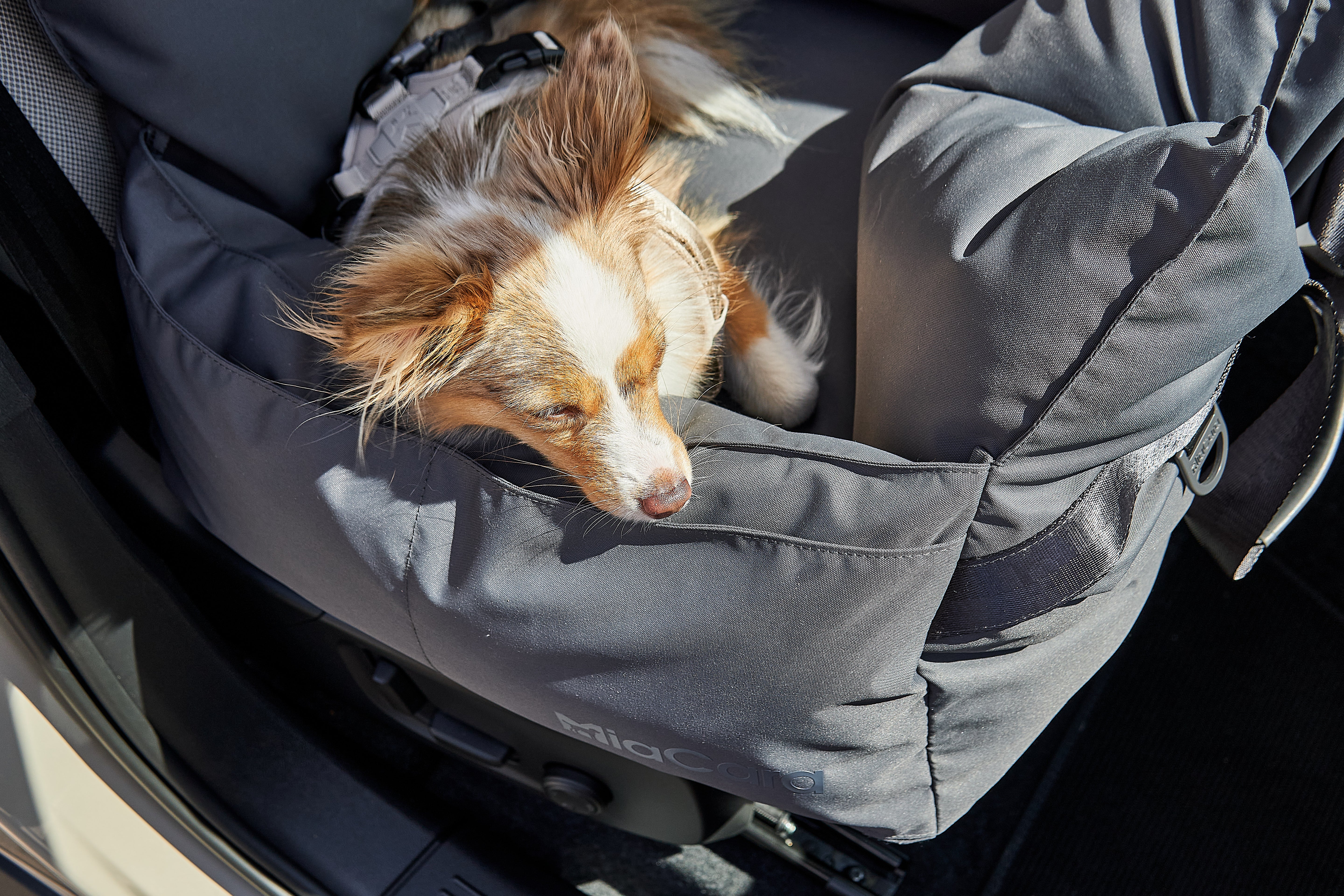 MiaCara Viaggio Reisebett Asphalt Tragetasche Hund multifunktional