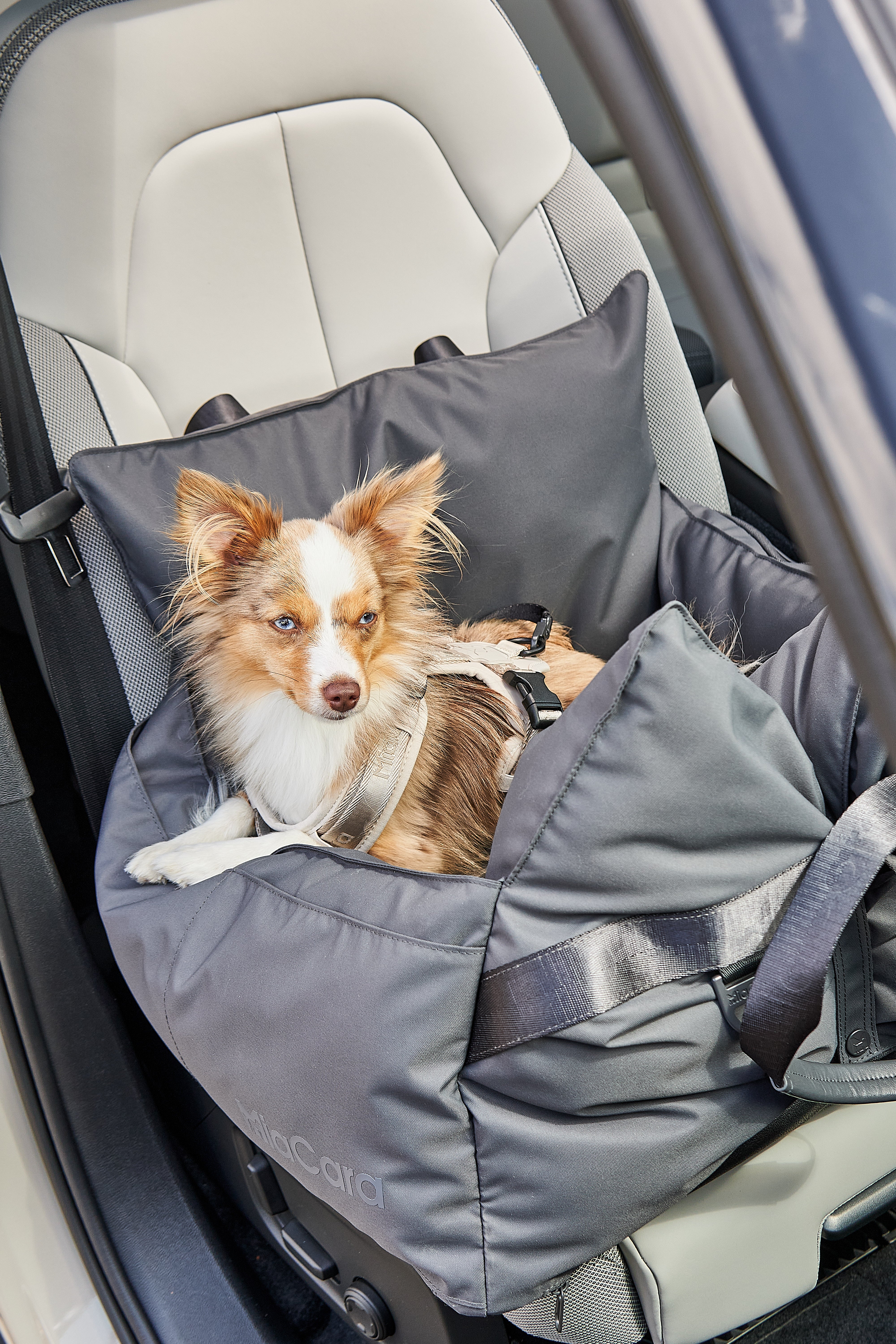 MiaCara Viaggio Reisebett Asphalt Reisen mit Hund