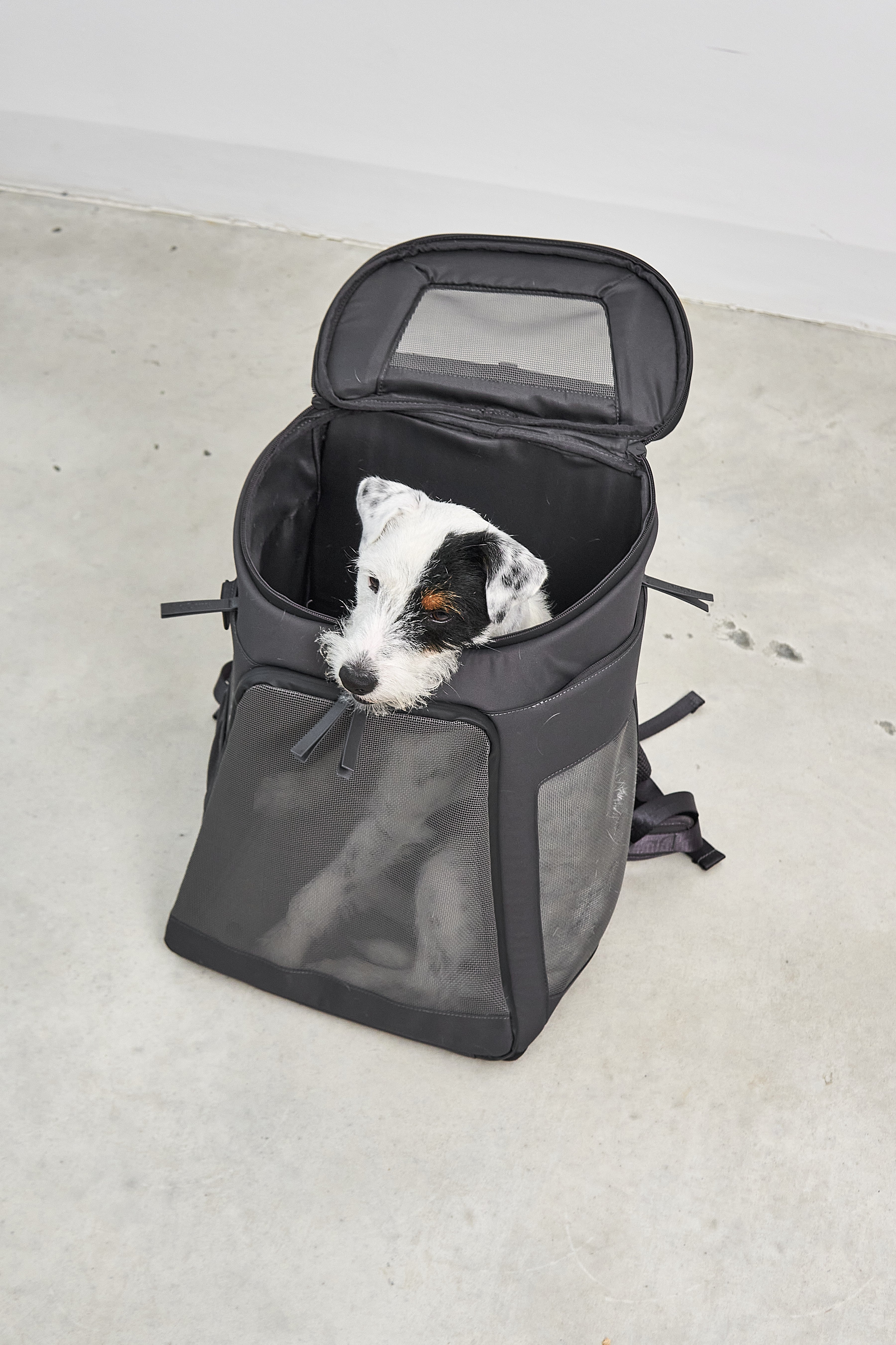 MiaCara Zaino Hunderucksack Asphalt Hunderucksack zum Wandern Reisen mit Hund