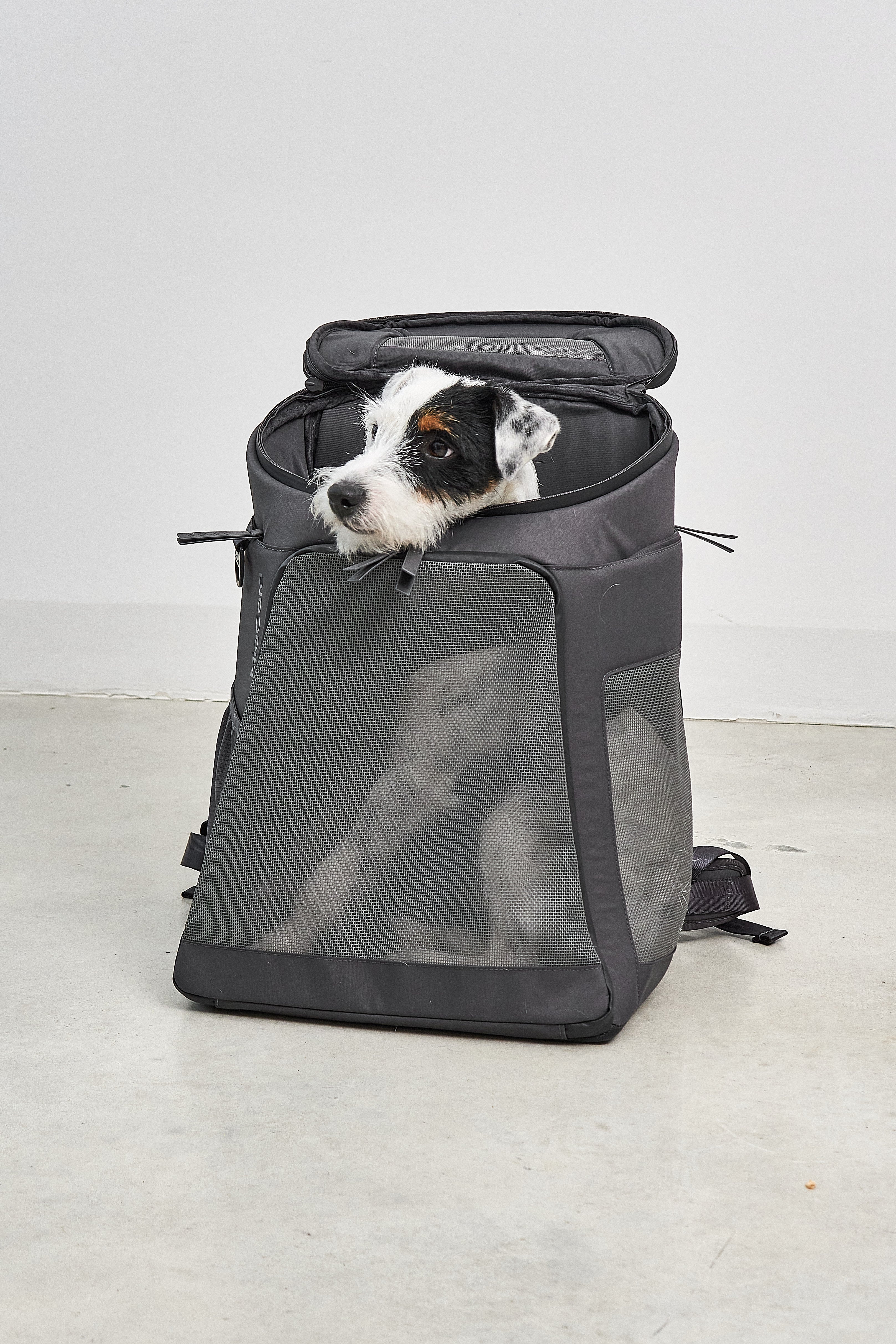 MiaCara Zaino Hunderucksack Asphalt Rucksack für Hunde Wandern