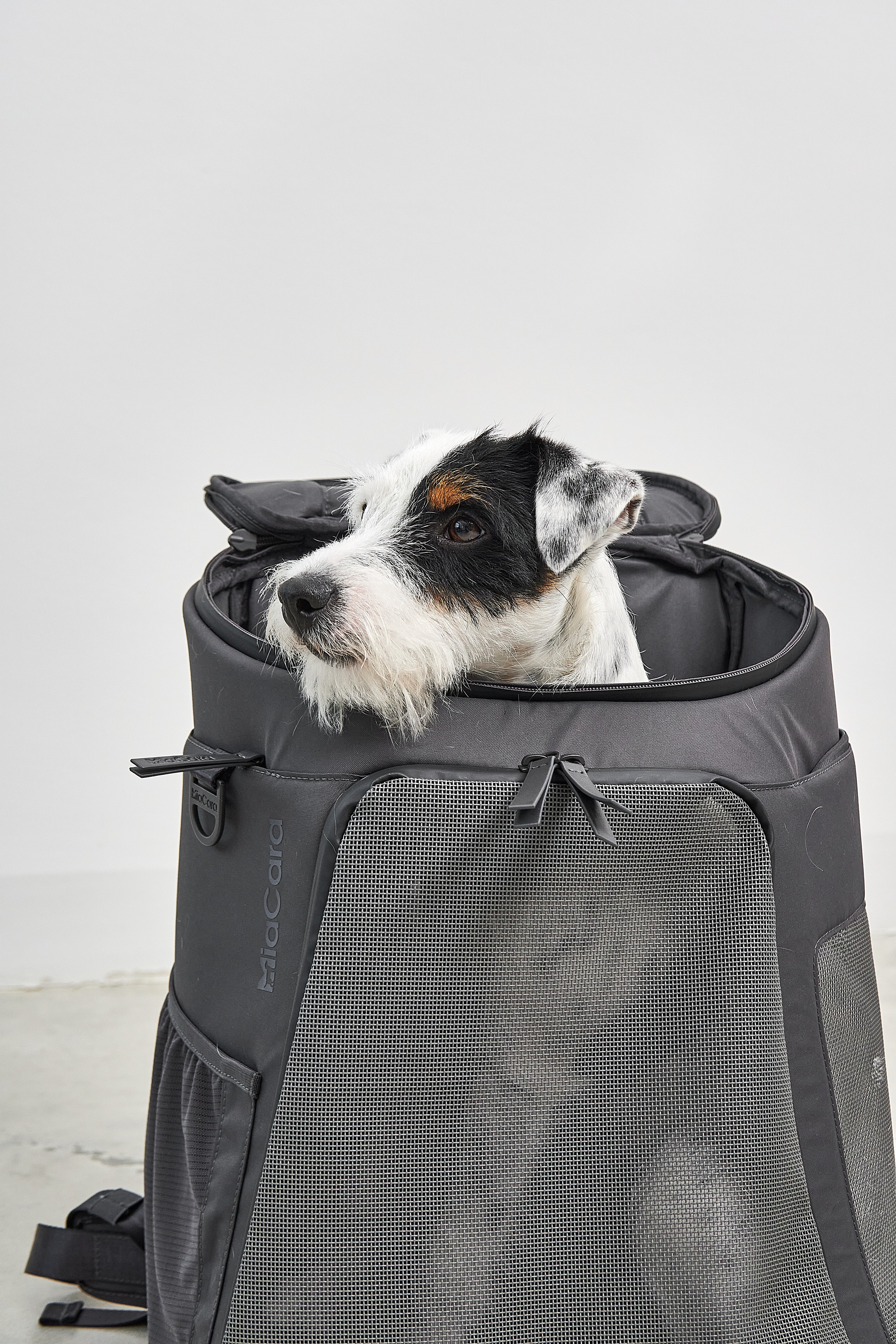 MiaCara Zaino Hunderucksack Asphalt Rucksack für Hunde mit Fenster