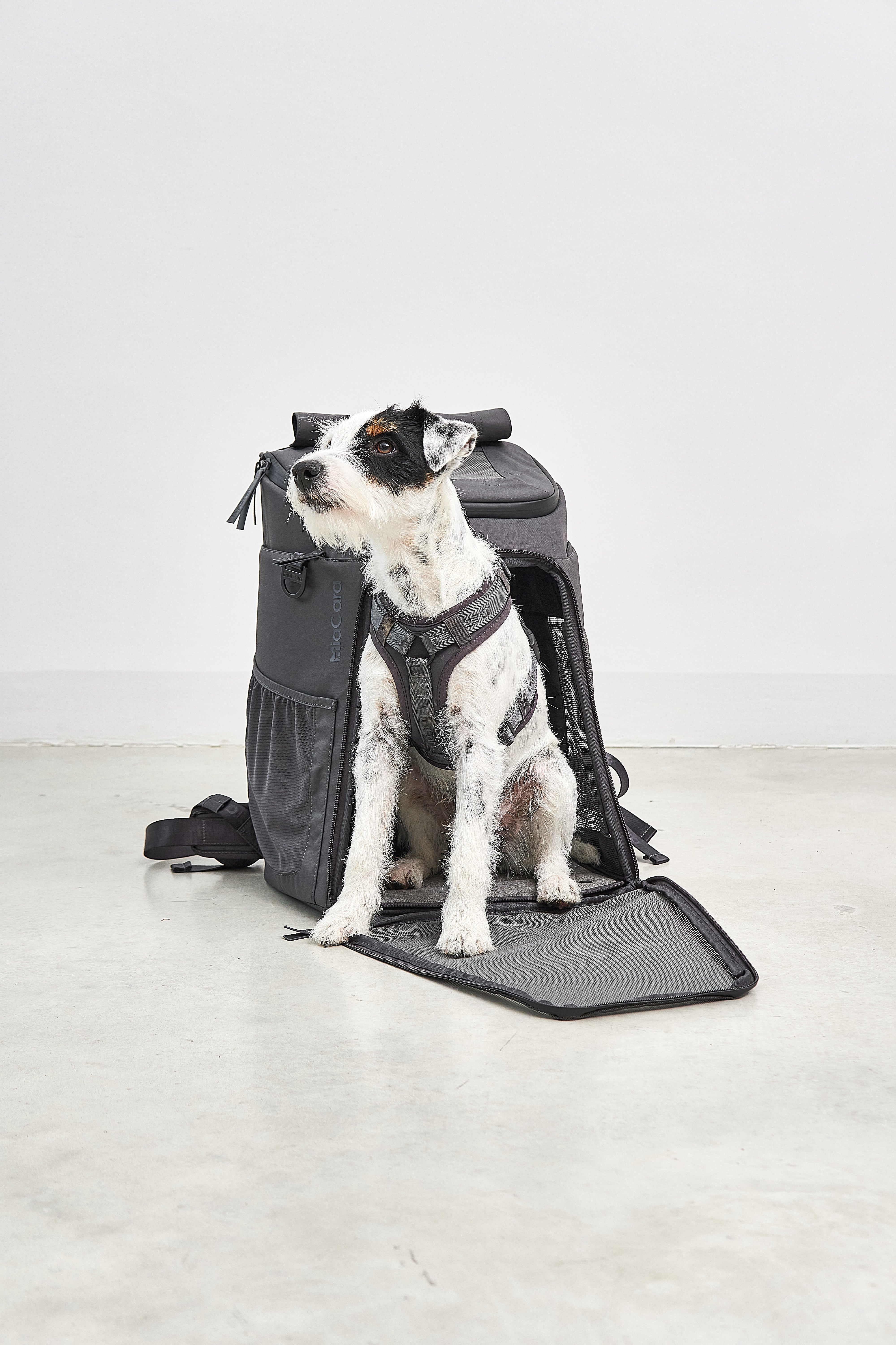 MiaCara Zaino Hunderucksack Asphalt Rucksack für Hunde zum Wandern