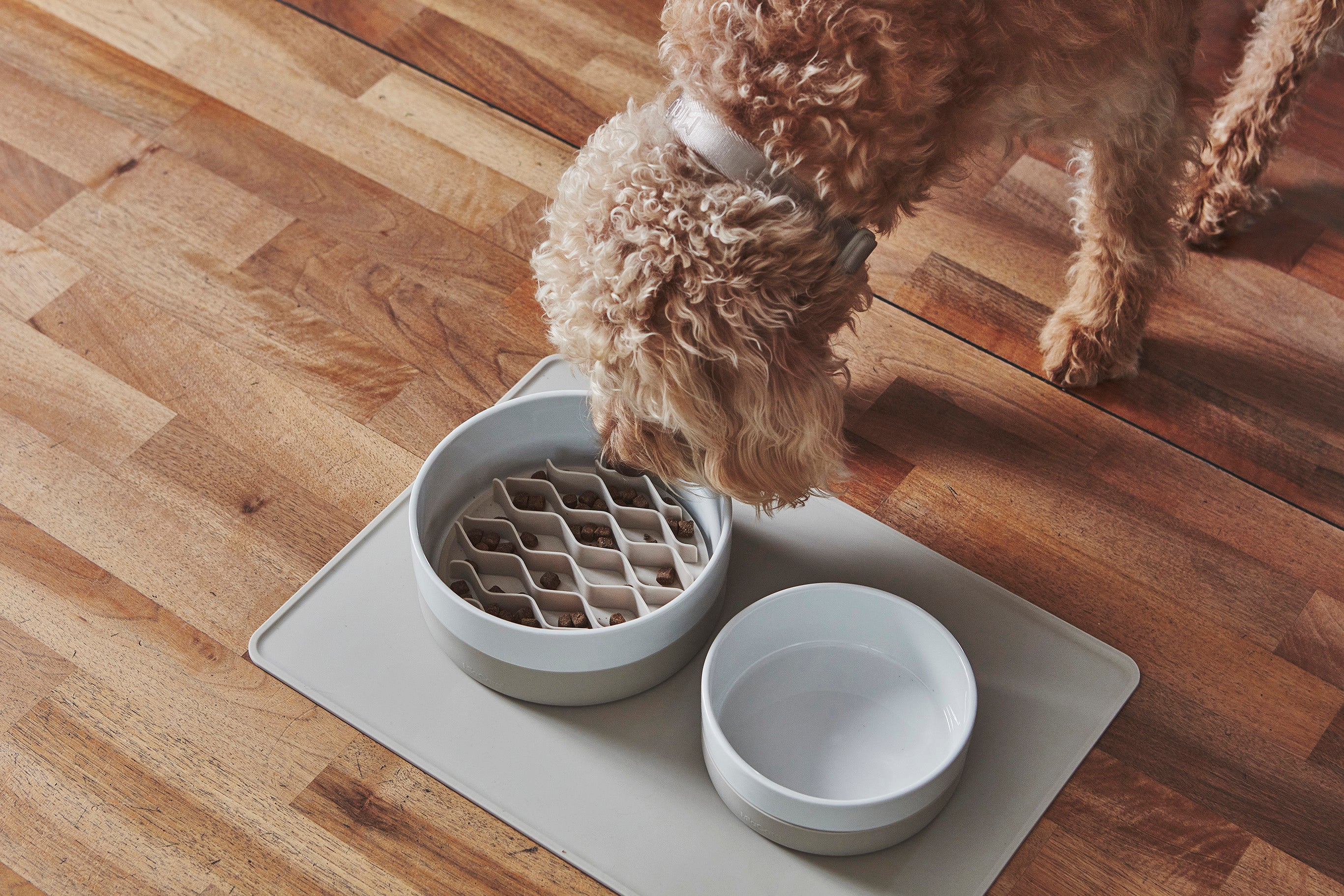 Miacara Coppa Leckerlidose Greige Keramiknapf fuer Hunde