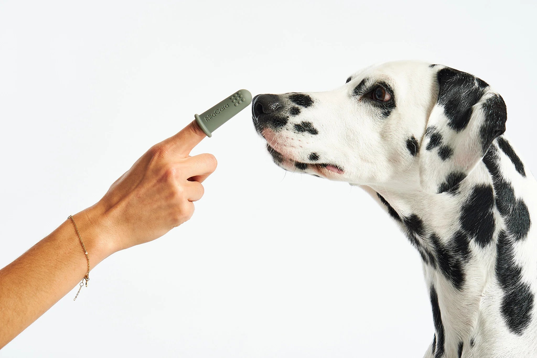 Miacara Dente Hundezahngel Zahnpasta fuer Hunde