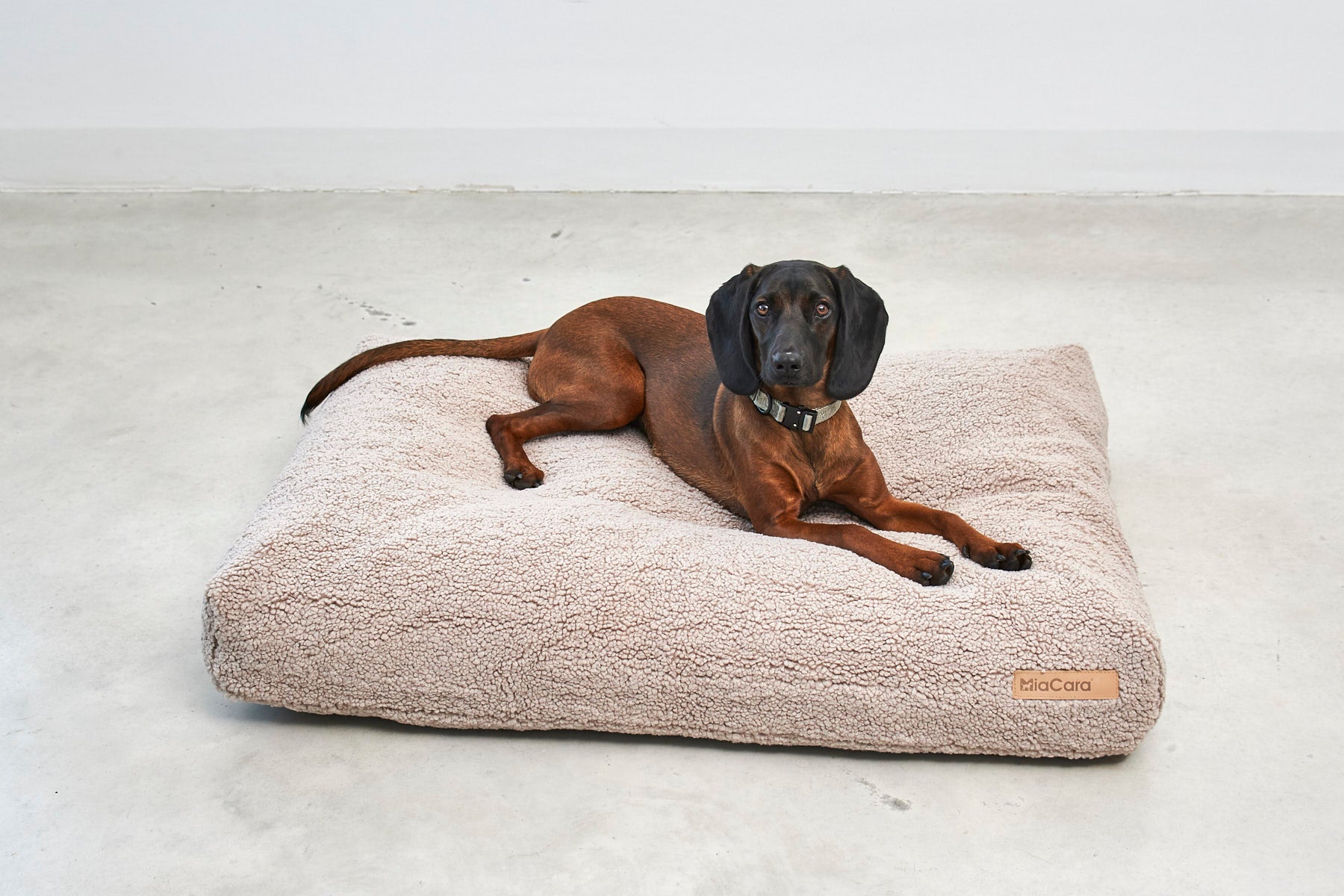 Miacara Senso Hundekissen Greige Teddykissen fuer Hunde