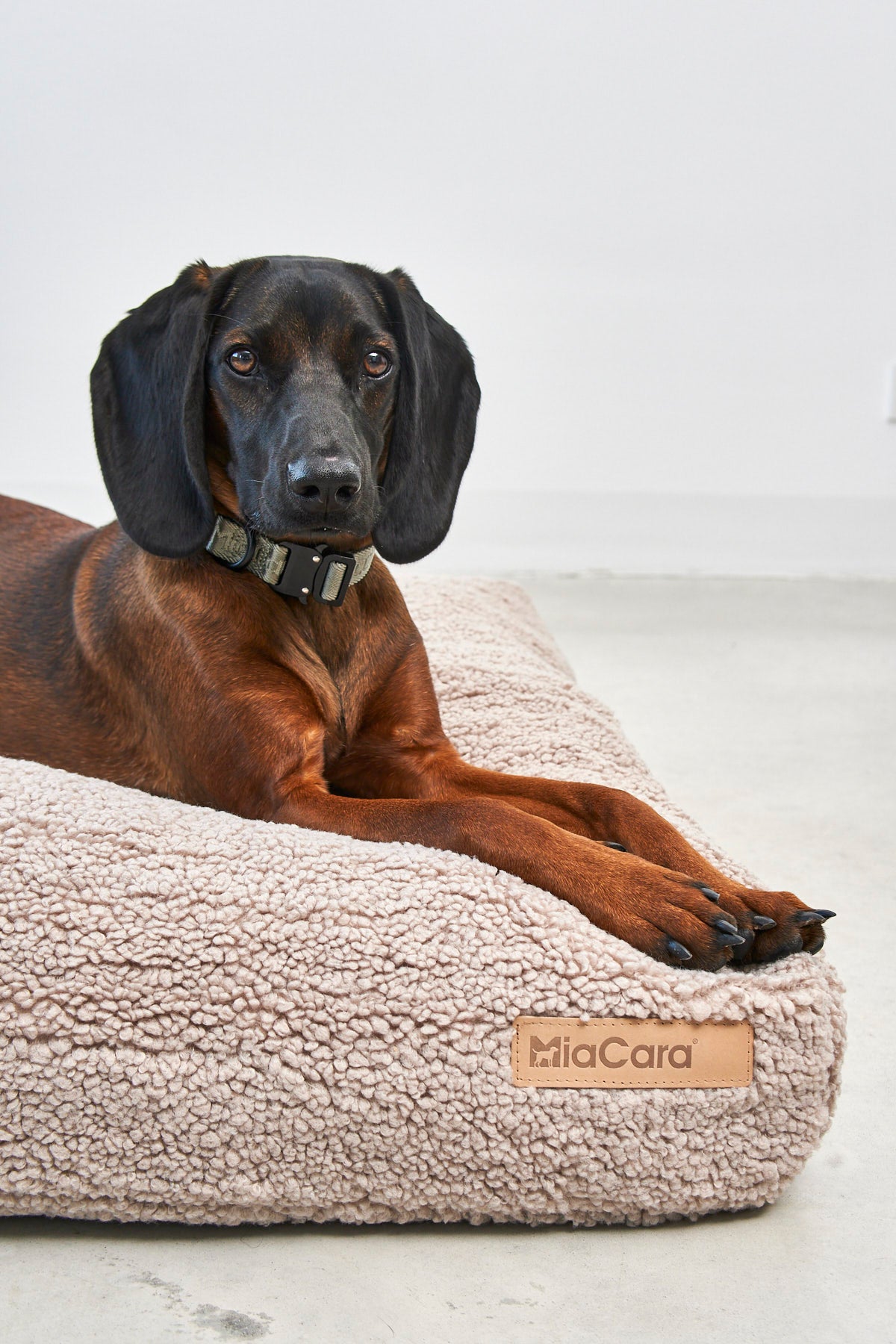 Miacara Senso Hundekissen Greige kuscheliges Hundekissen