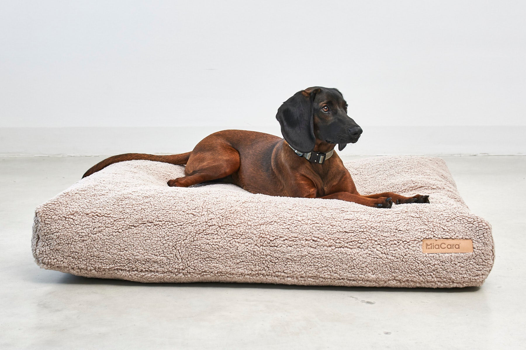 Miacara Senso Hundekissen Greige waschbares Teddykissen