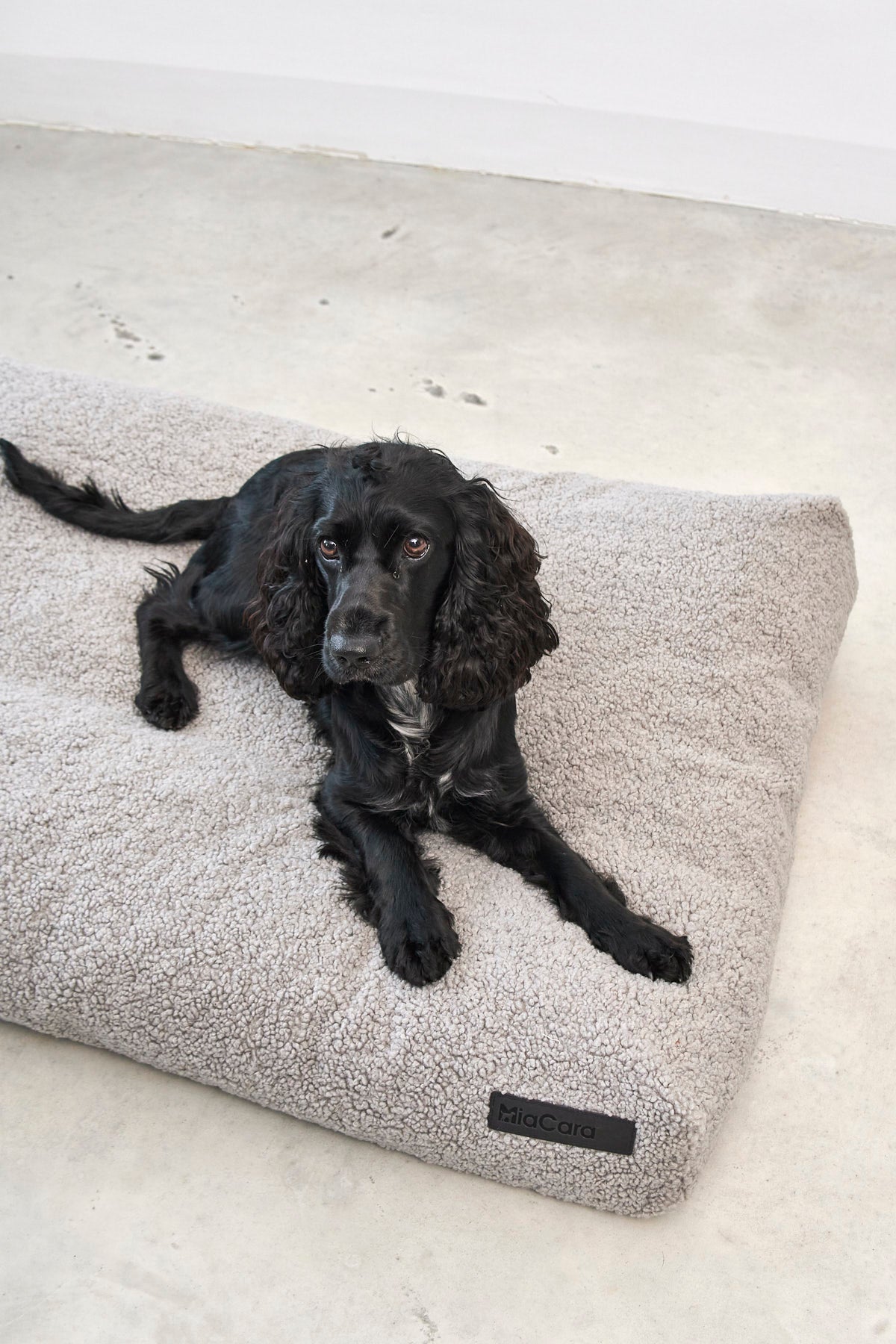 Miacara Senso Hundekissen Kiesel kuscheliges Teddykissen