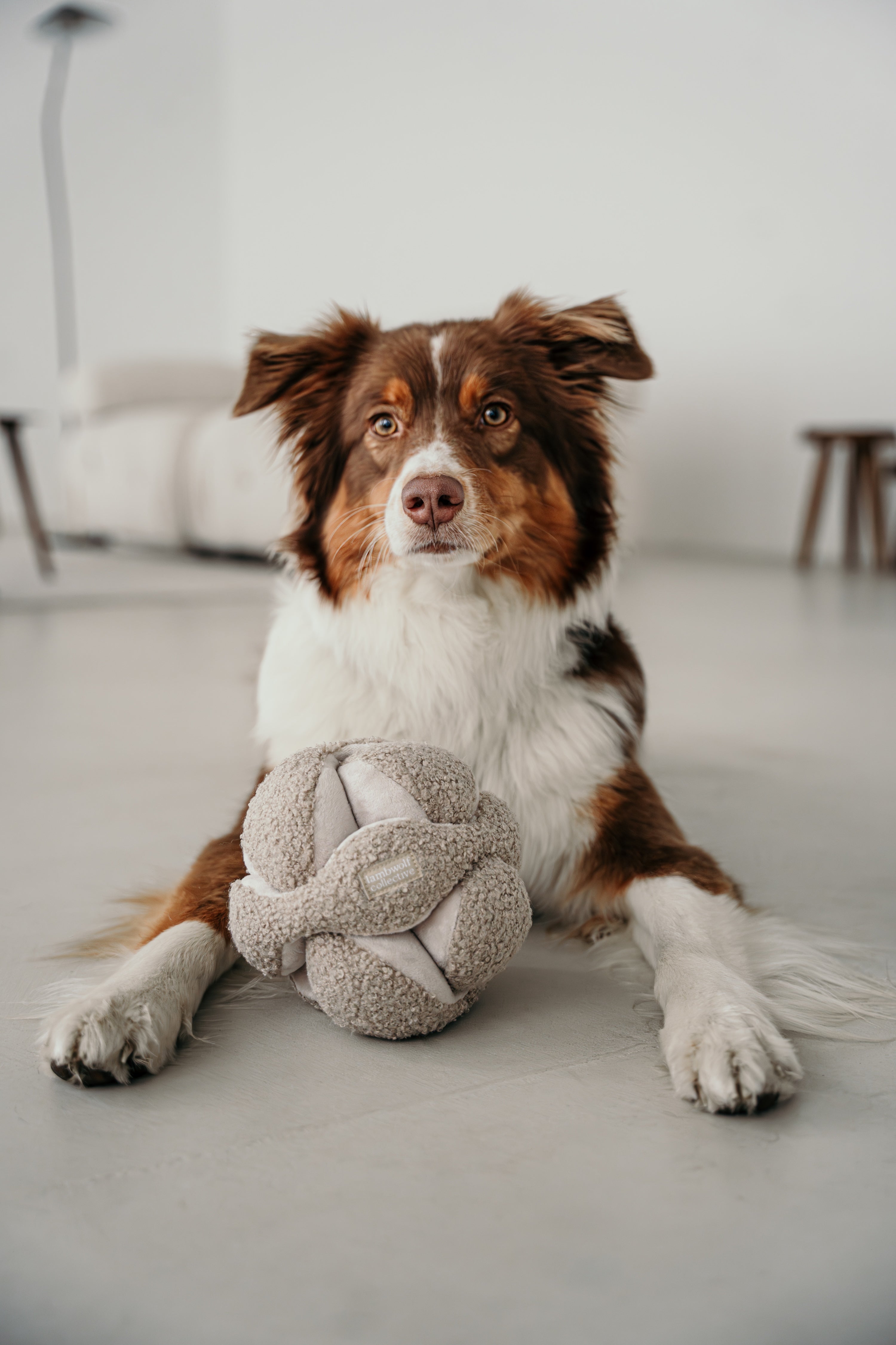 Monti Schnüffelball