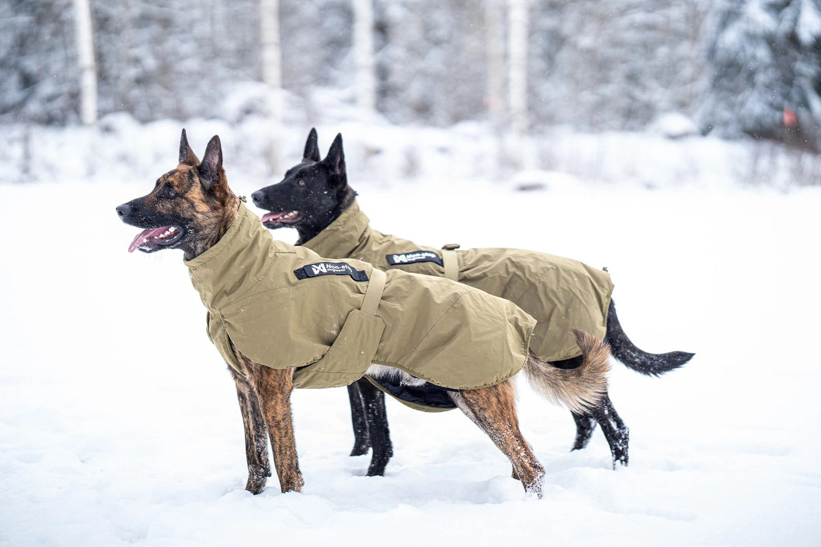 Non-Stop Dogwear Glacier Jacket WD olivfarbene Hundejacke
