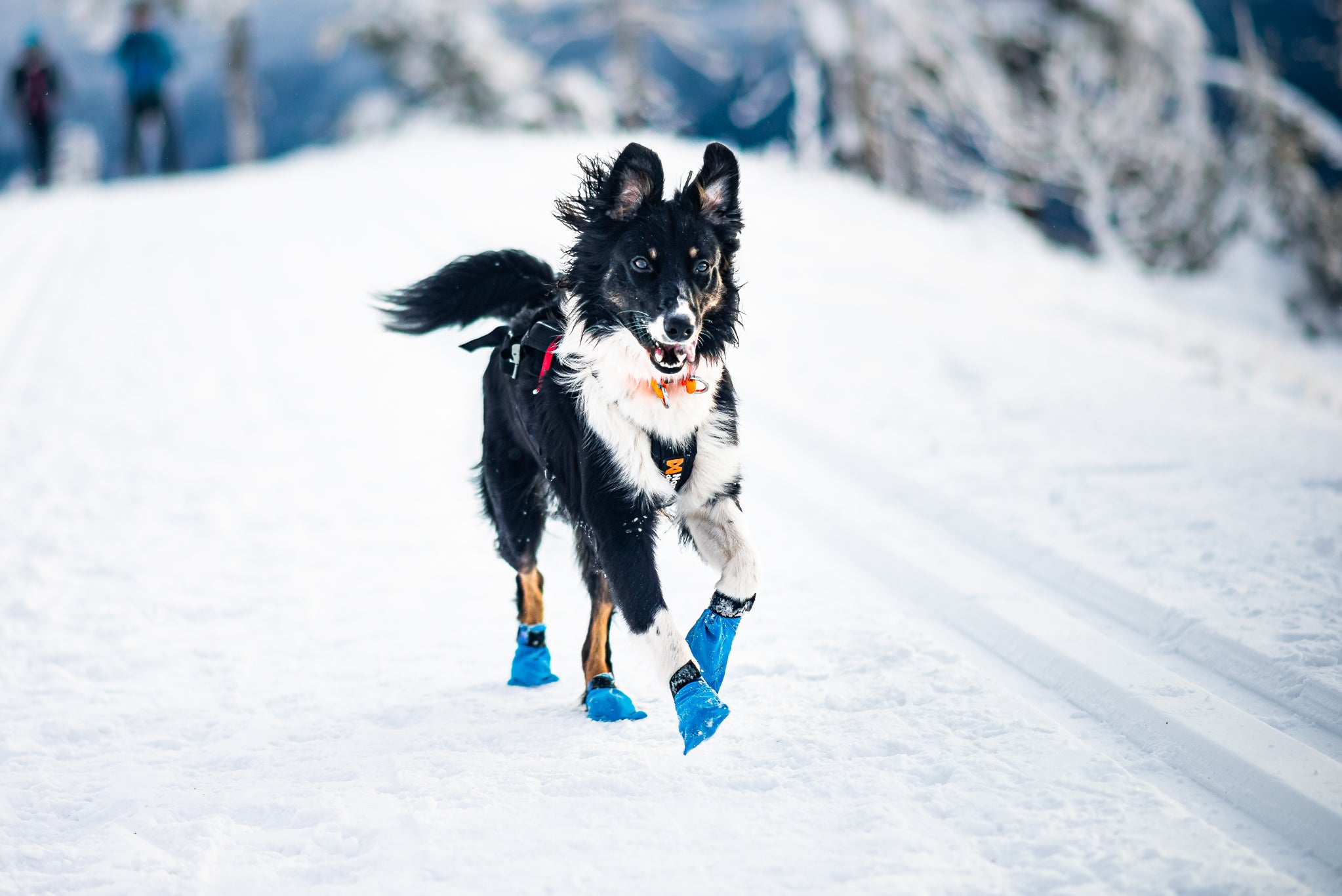 Non Stop Dogwear Long Distance Bootie verstellbare Hundebooties