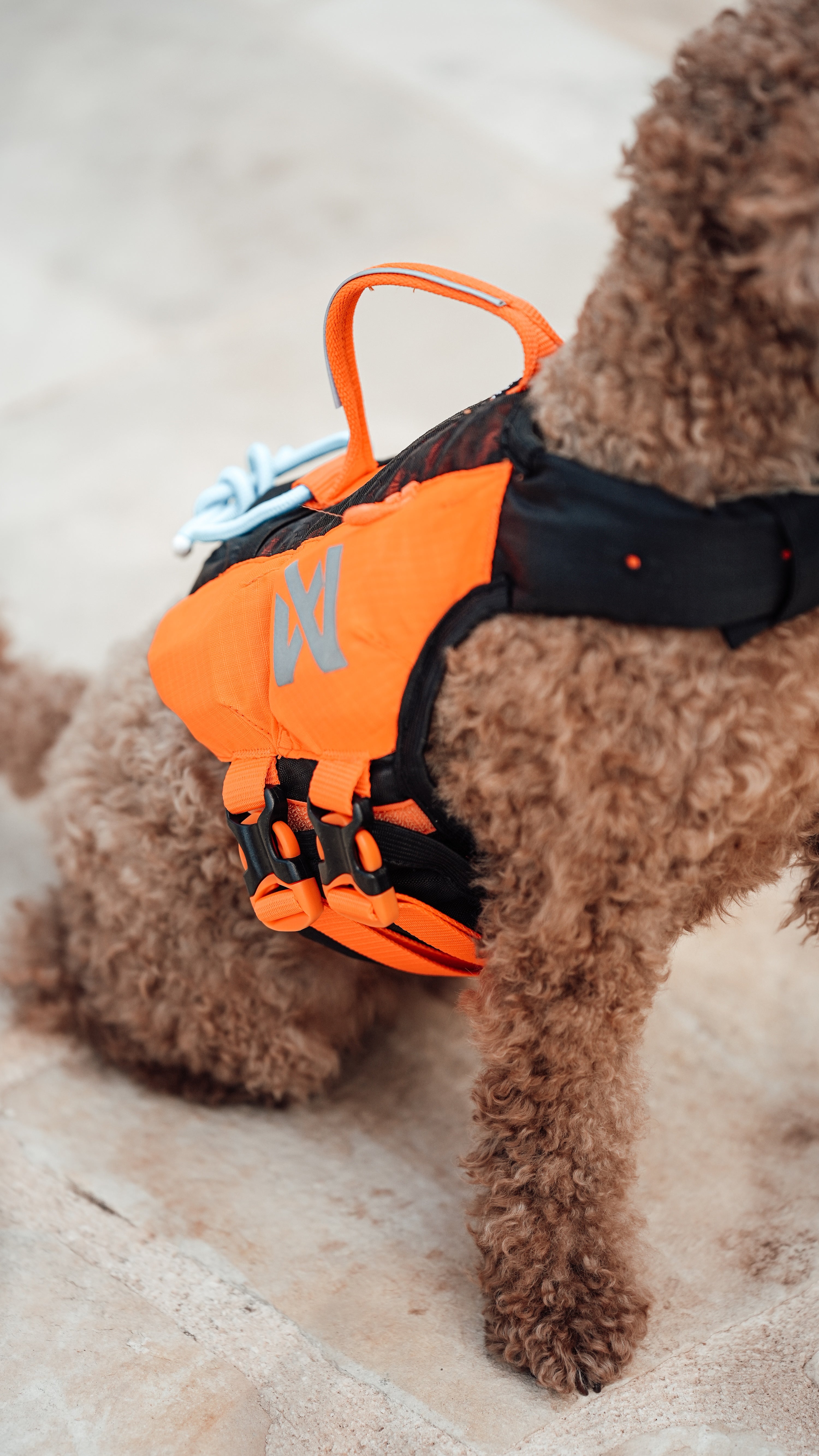 Non-Stop Dogwear Protector Life Jacket Orange Black Hundeschwimmweste Schwimmweste für Hunde